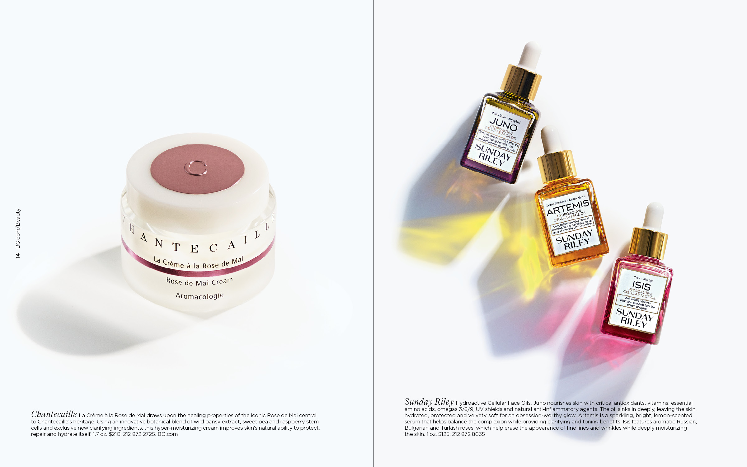 Spring Beauty 20149.jpg