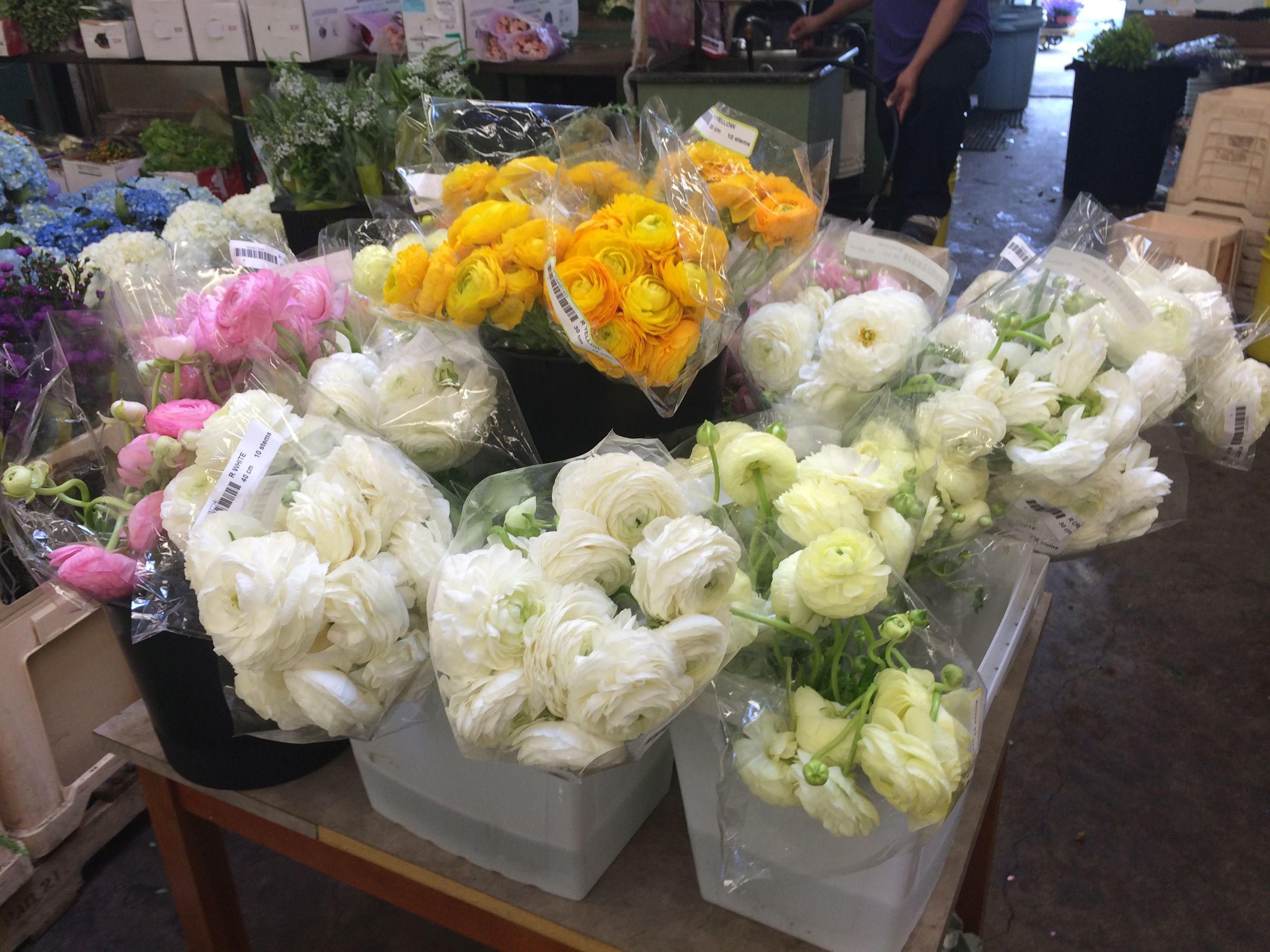 Ranunculus are some of my favorite flowers to style with. Their organic shape and the curves of their stems are always gorgeous in photos.