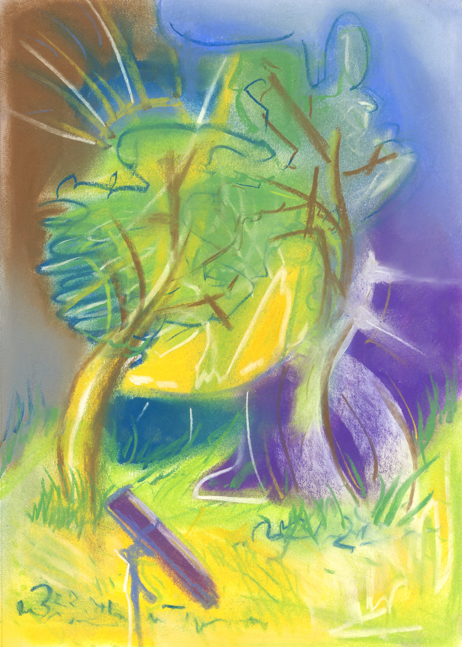 Sun Twisted Trees