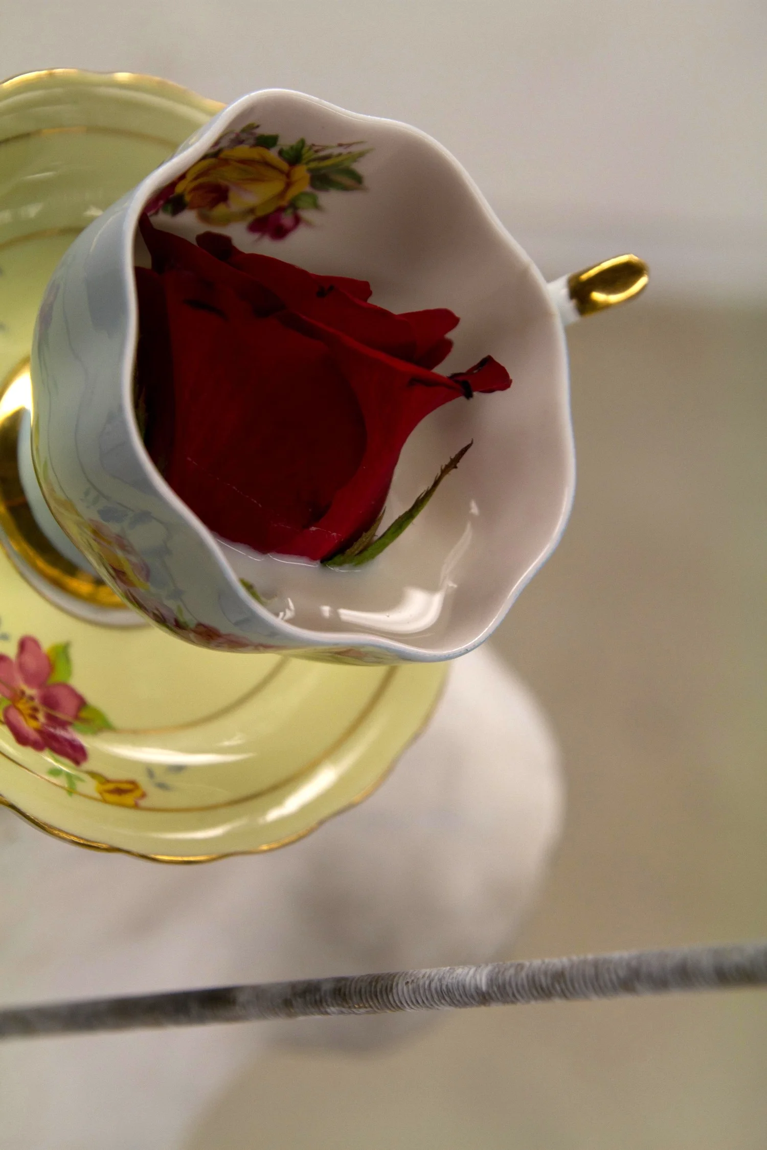 Rose close up.jpg