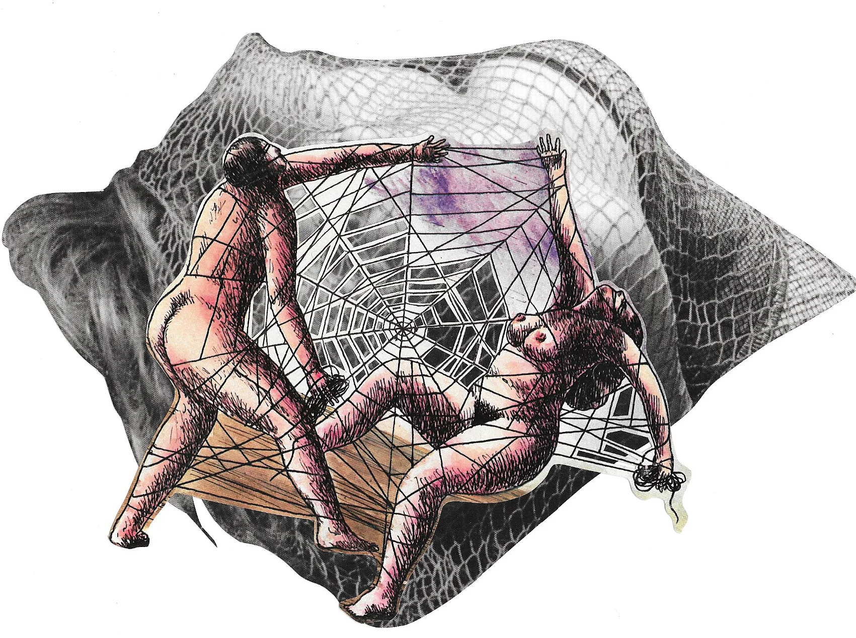 Spider Web.jpg