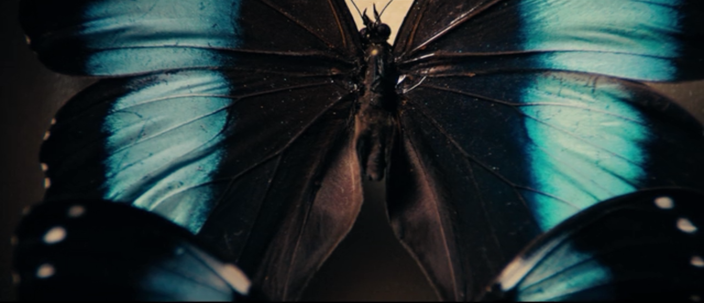 Duke of Burgundy (2014)