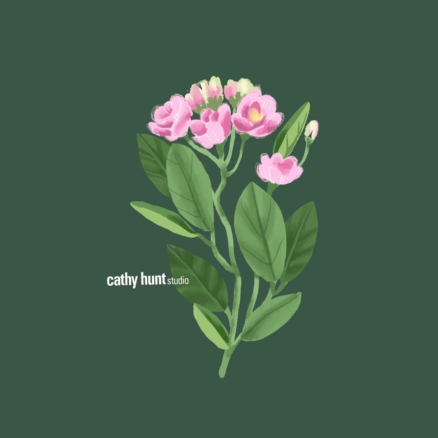 Simple floral. I have done more florals than anything else. 
-
#floralillustration #botanicalillustration #wallart #stationerydesign #surfacepatterndesign