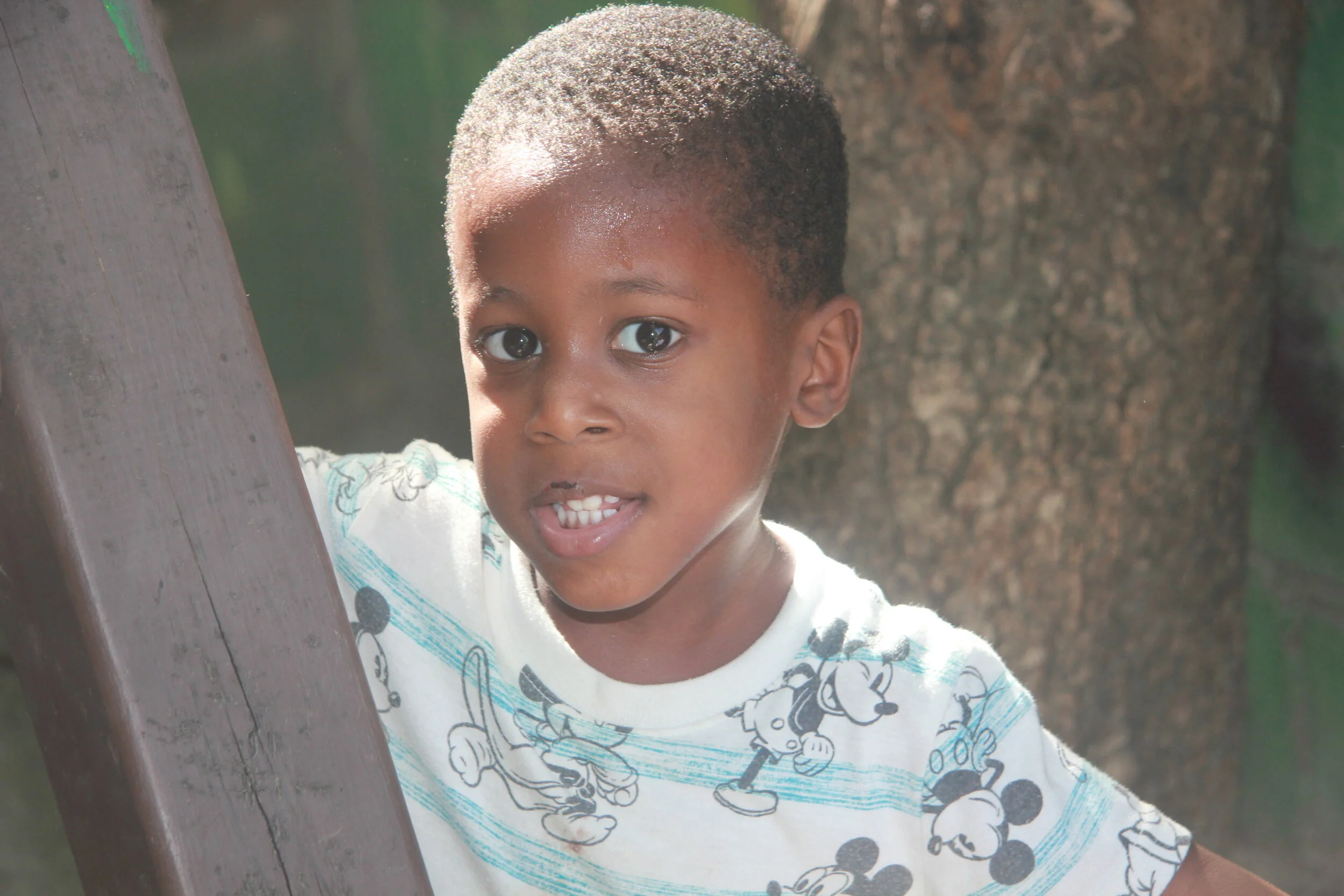  Louidjy busy at play in the yard 