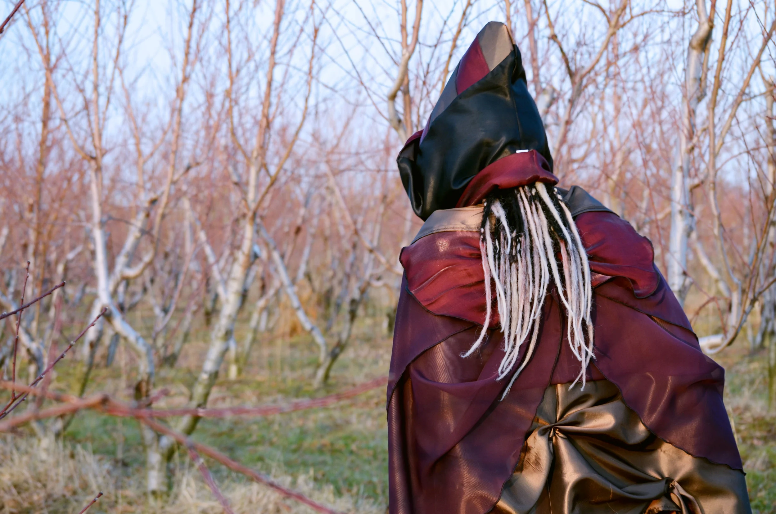 cape21.jpg