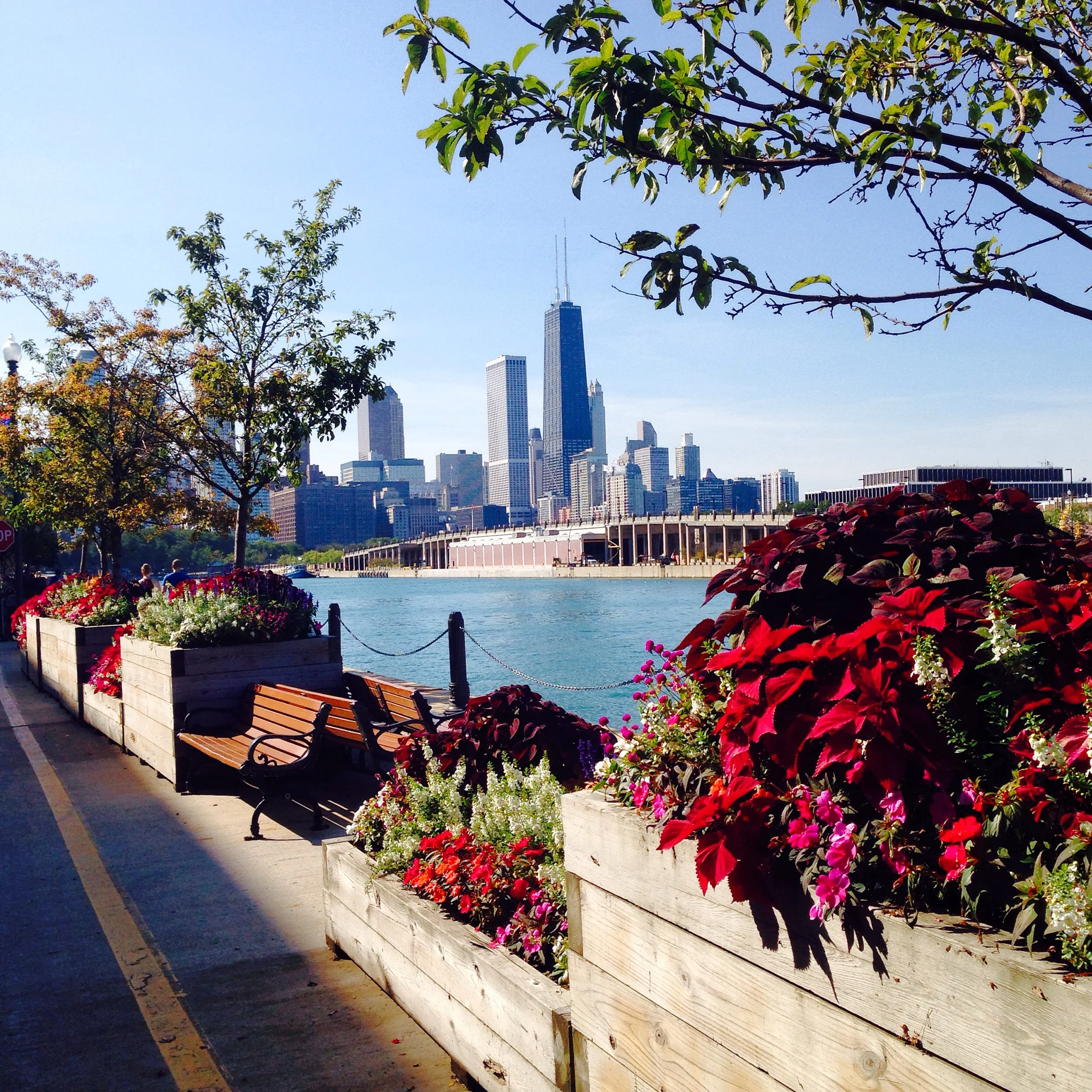 a walk on navy pier