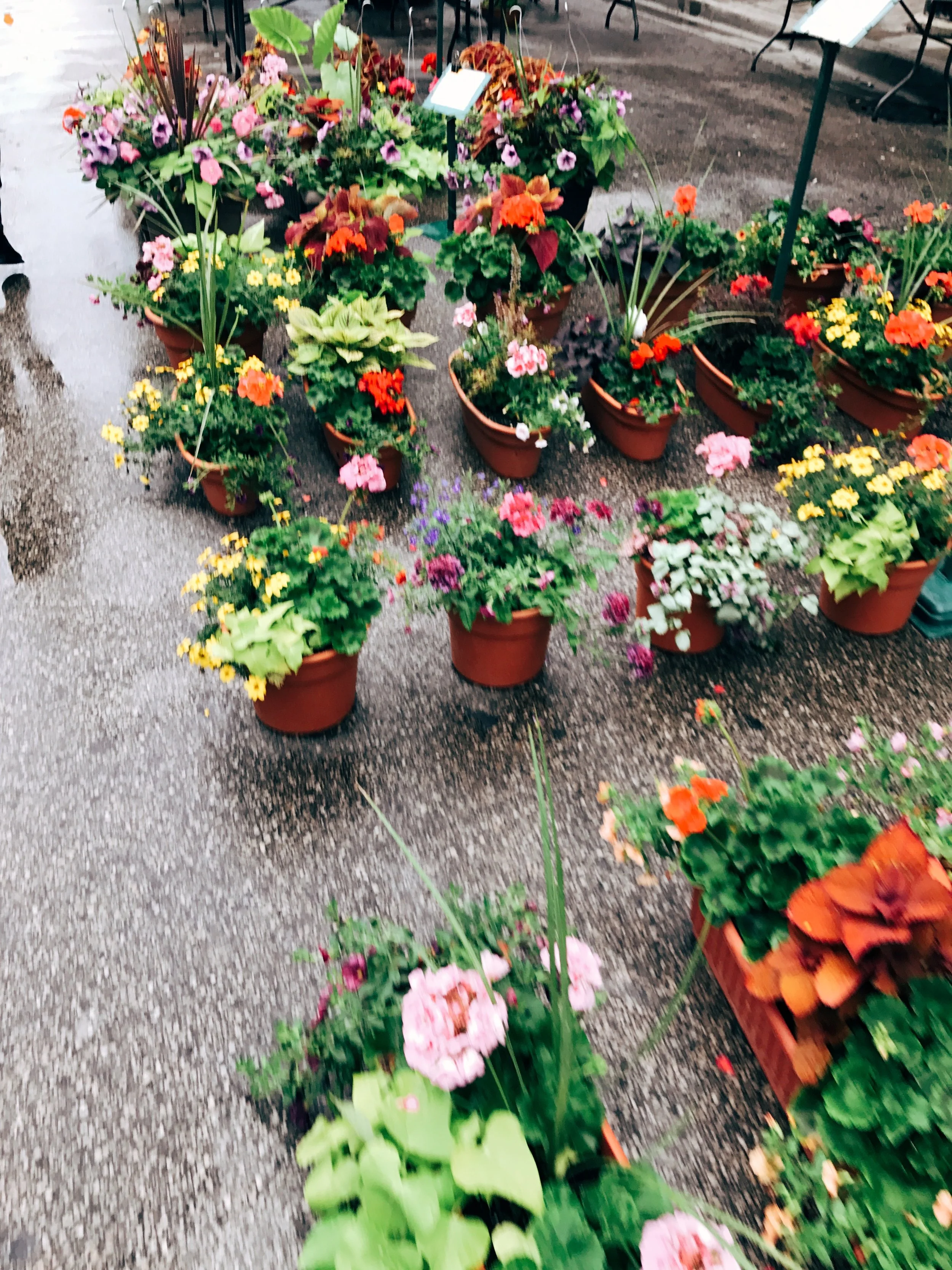  Processed with VSCO with e1 preset 