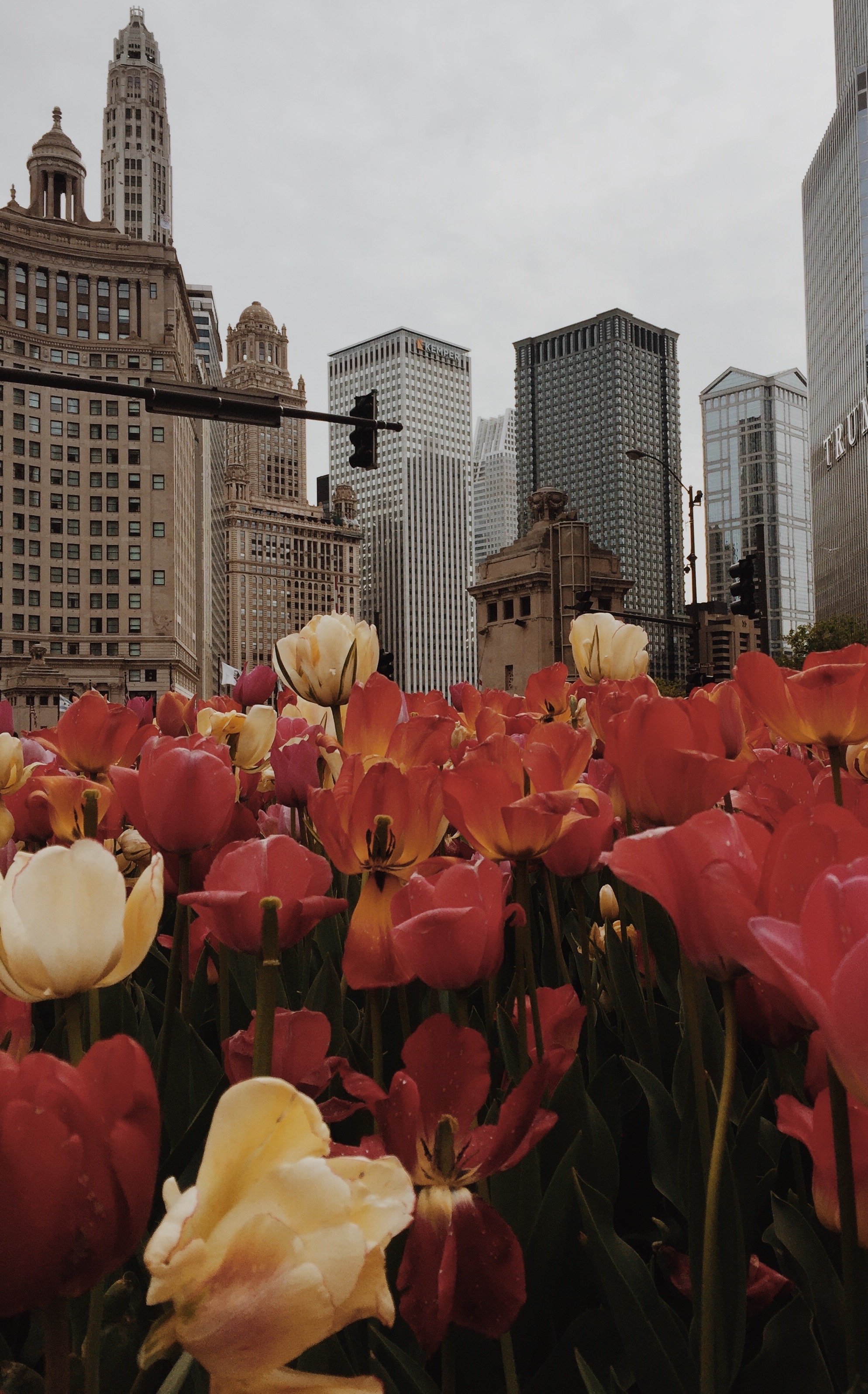  Processed with VSCO with m5 preset 