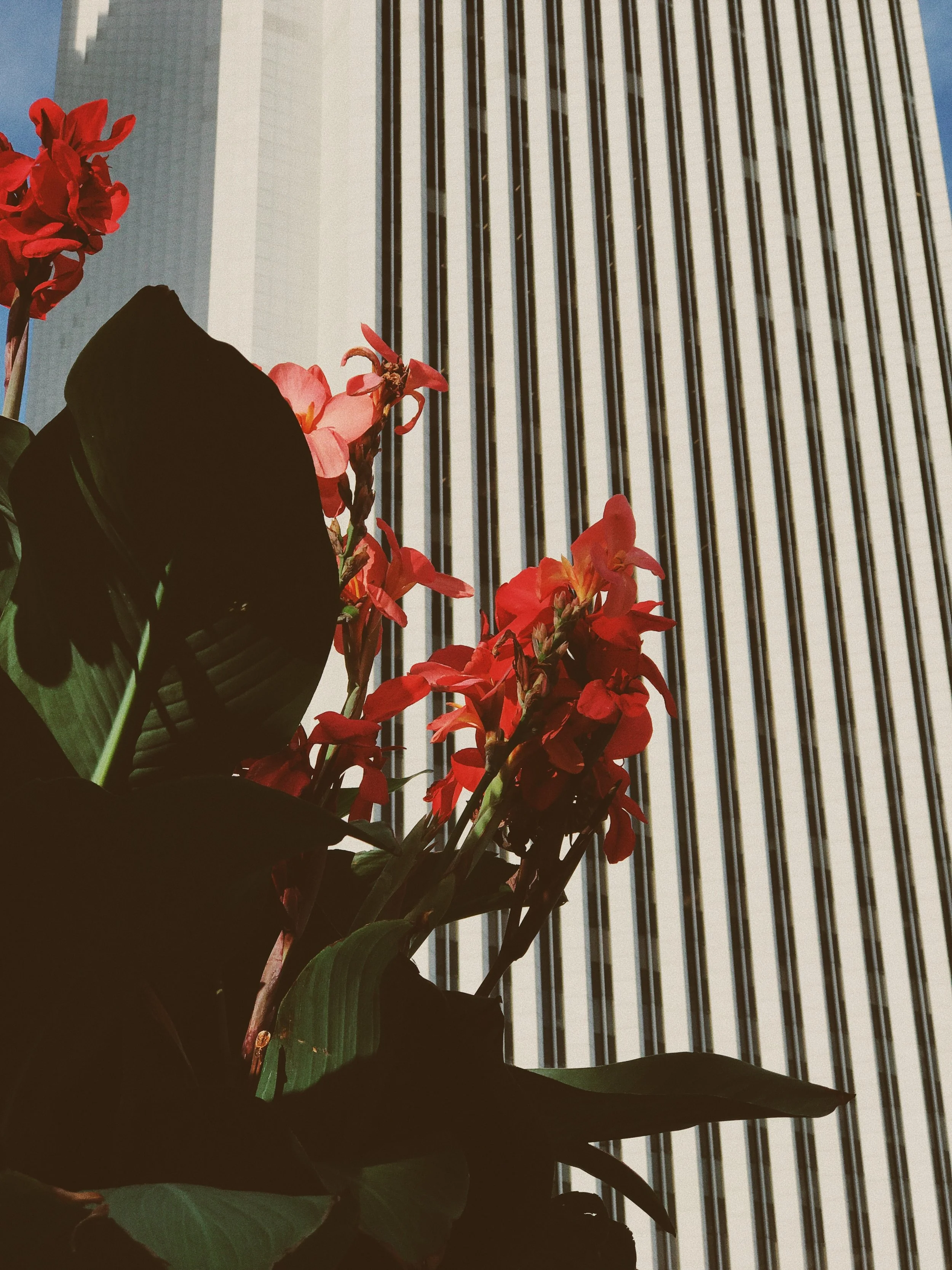  Processed with VSCO with lv03 preset 