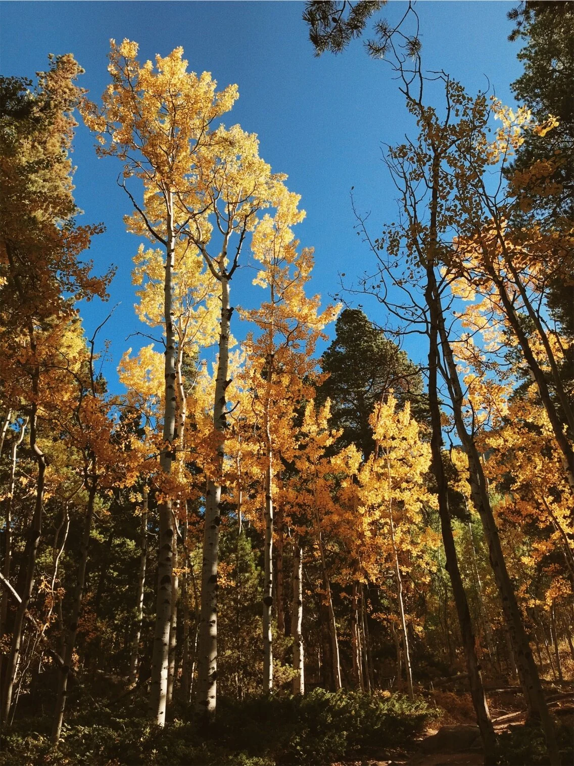 vsco5d9fbea80235f.jpg