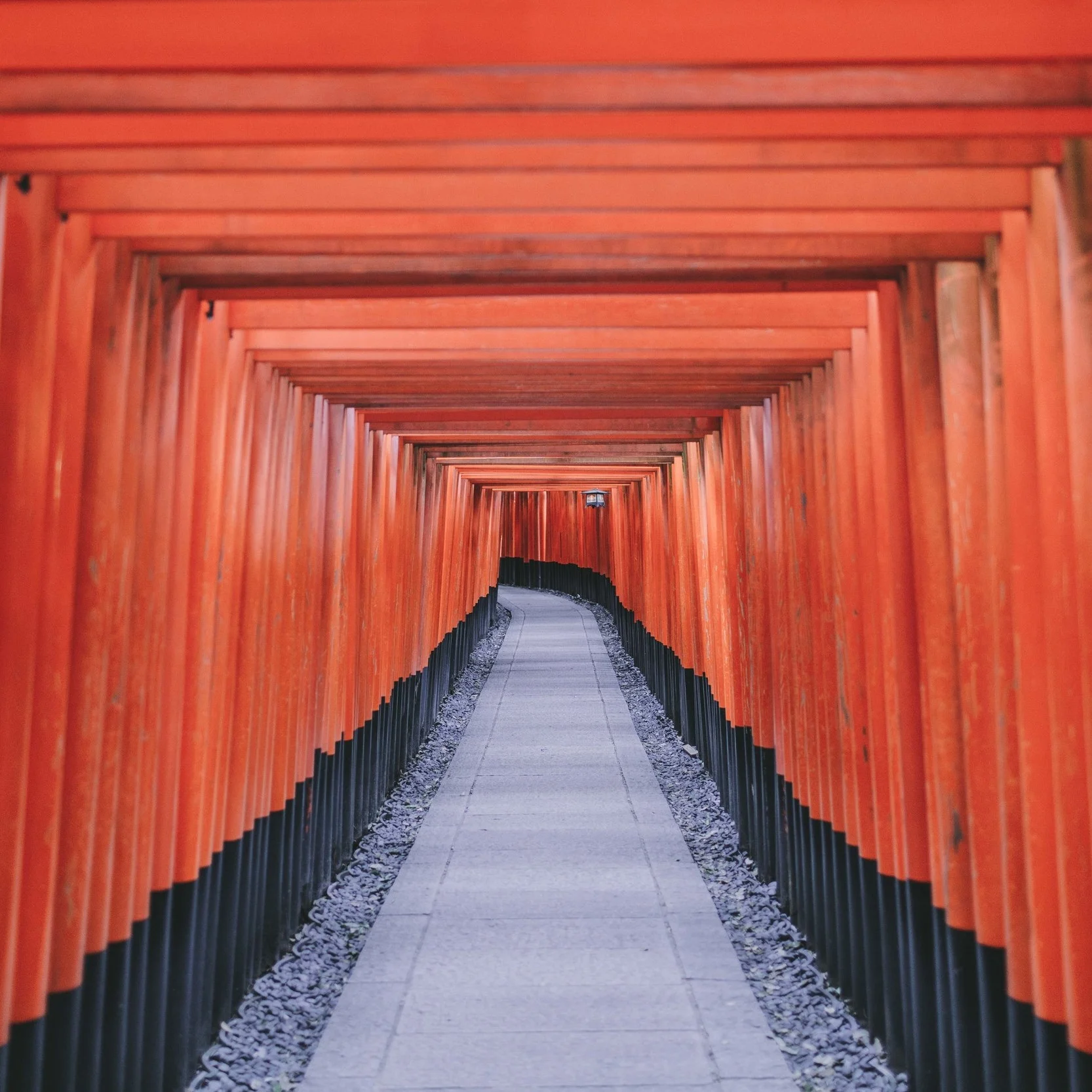 japan tori gates.jpg