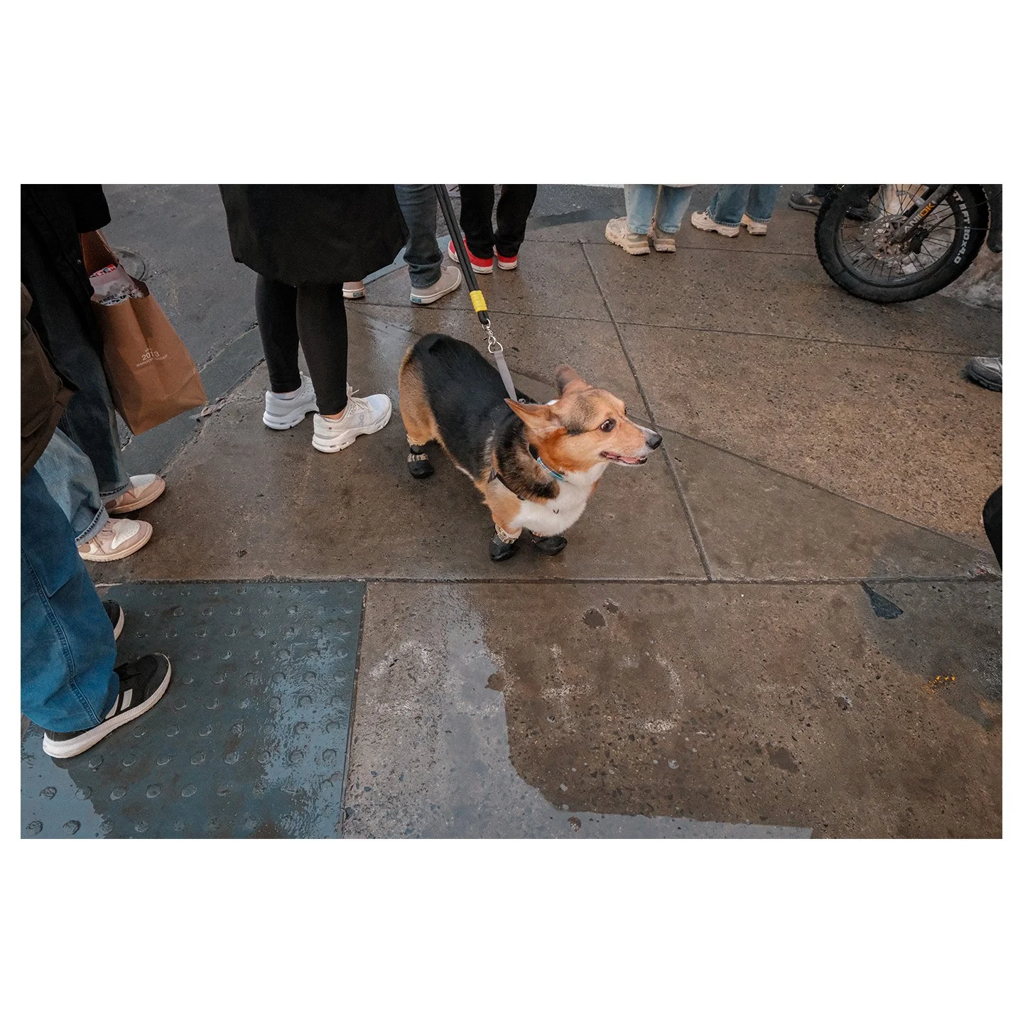 Moments from a recent work trip to Boston.

#boston #travel #snap #street #winter #city #fujifilm #urbanmood