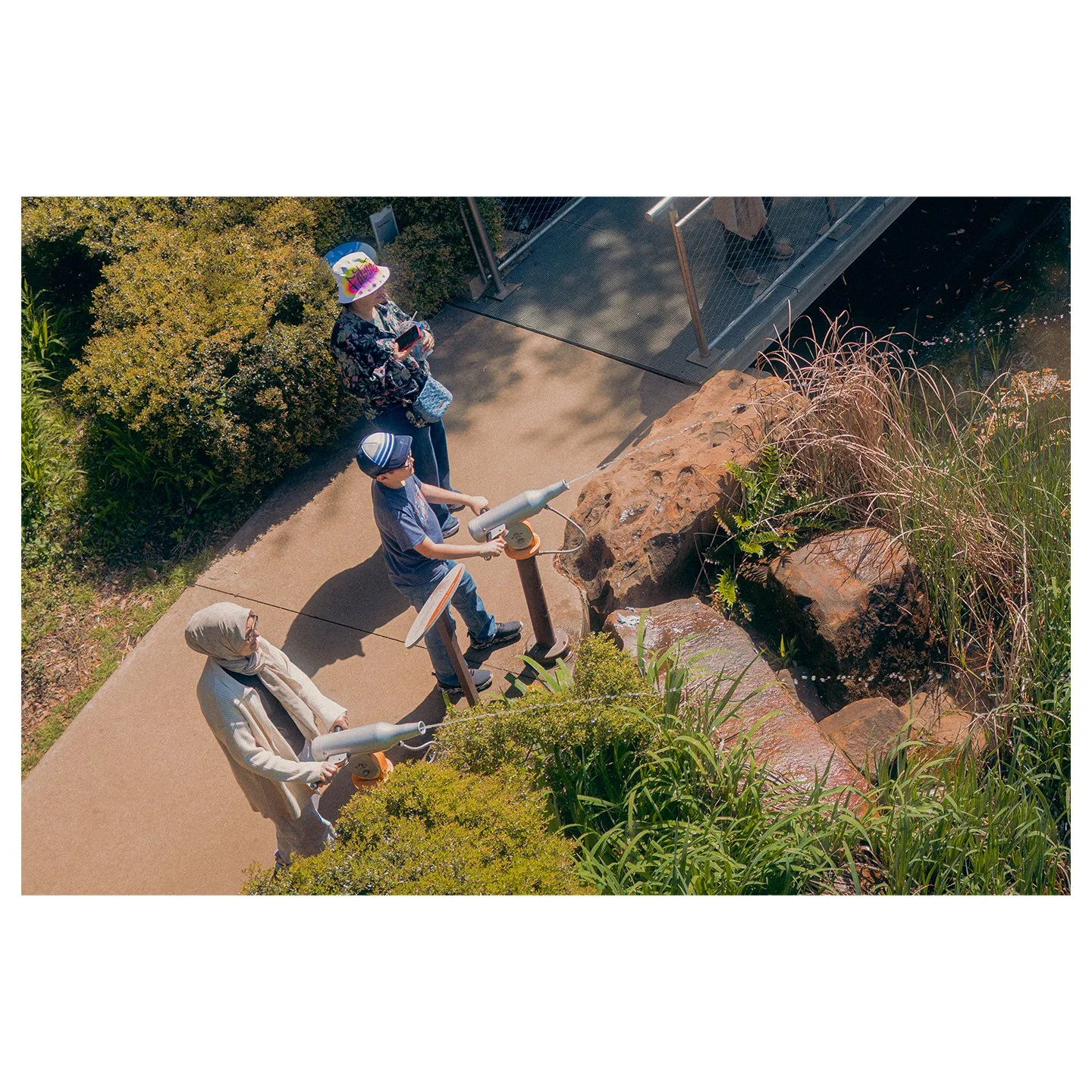 we visited a botanical garden at the beginning of spring

#springcolors #naturewalk #flowers #botanicalgarden #garden #fujifilm #leica #snaps
