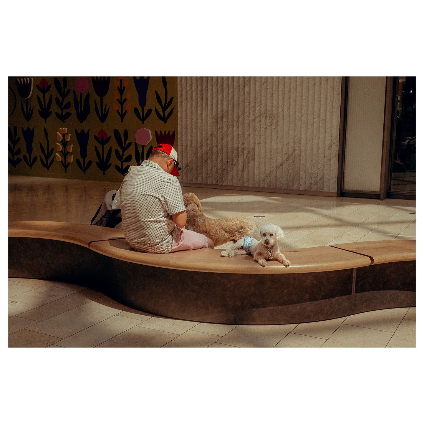 Friday snaps ⛸️

#snaps #streetphotography #film #leica #fujifilm #gr3 #interiorphotography #urban