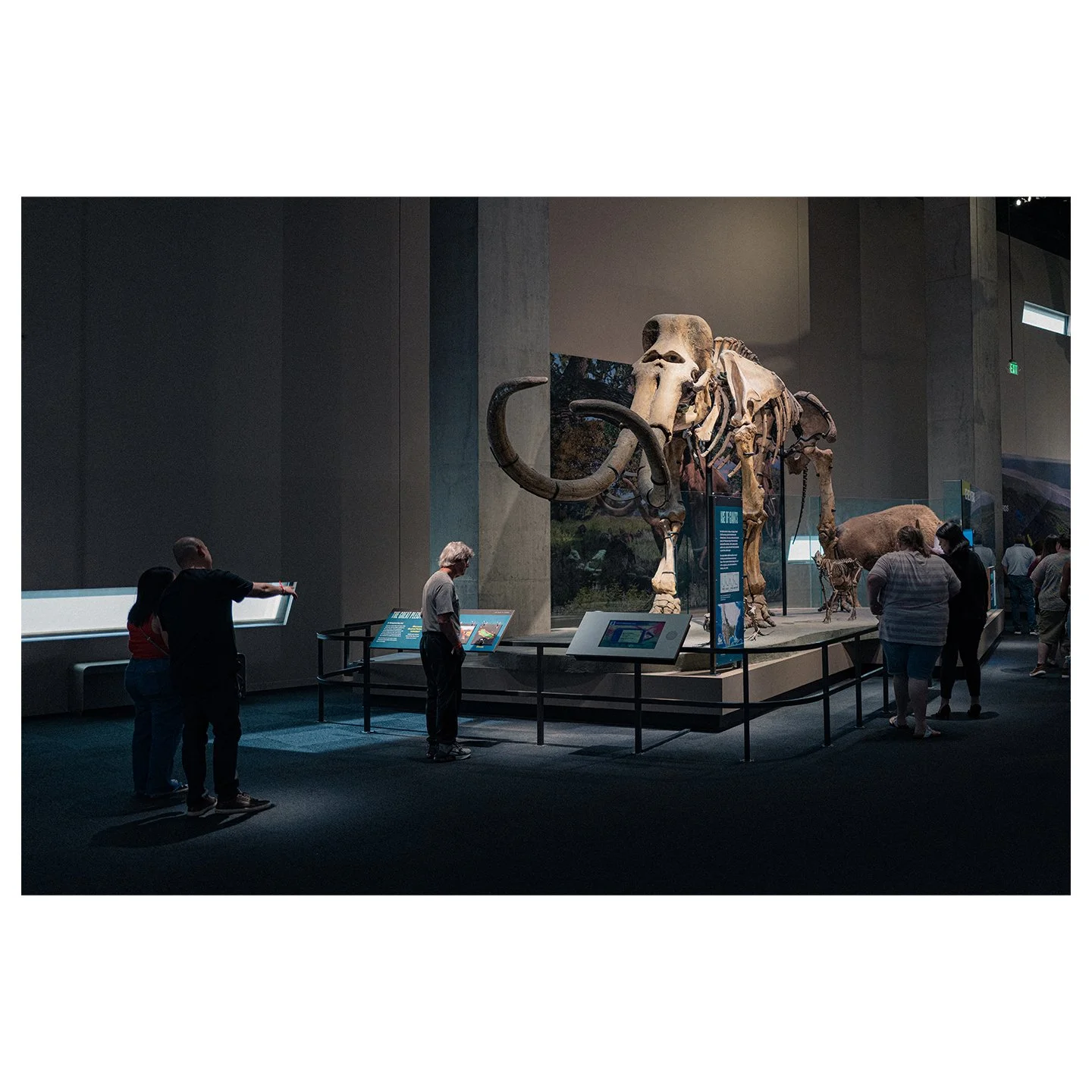 after hours at the museum