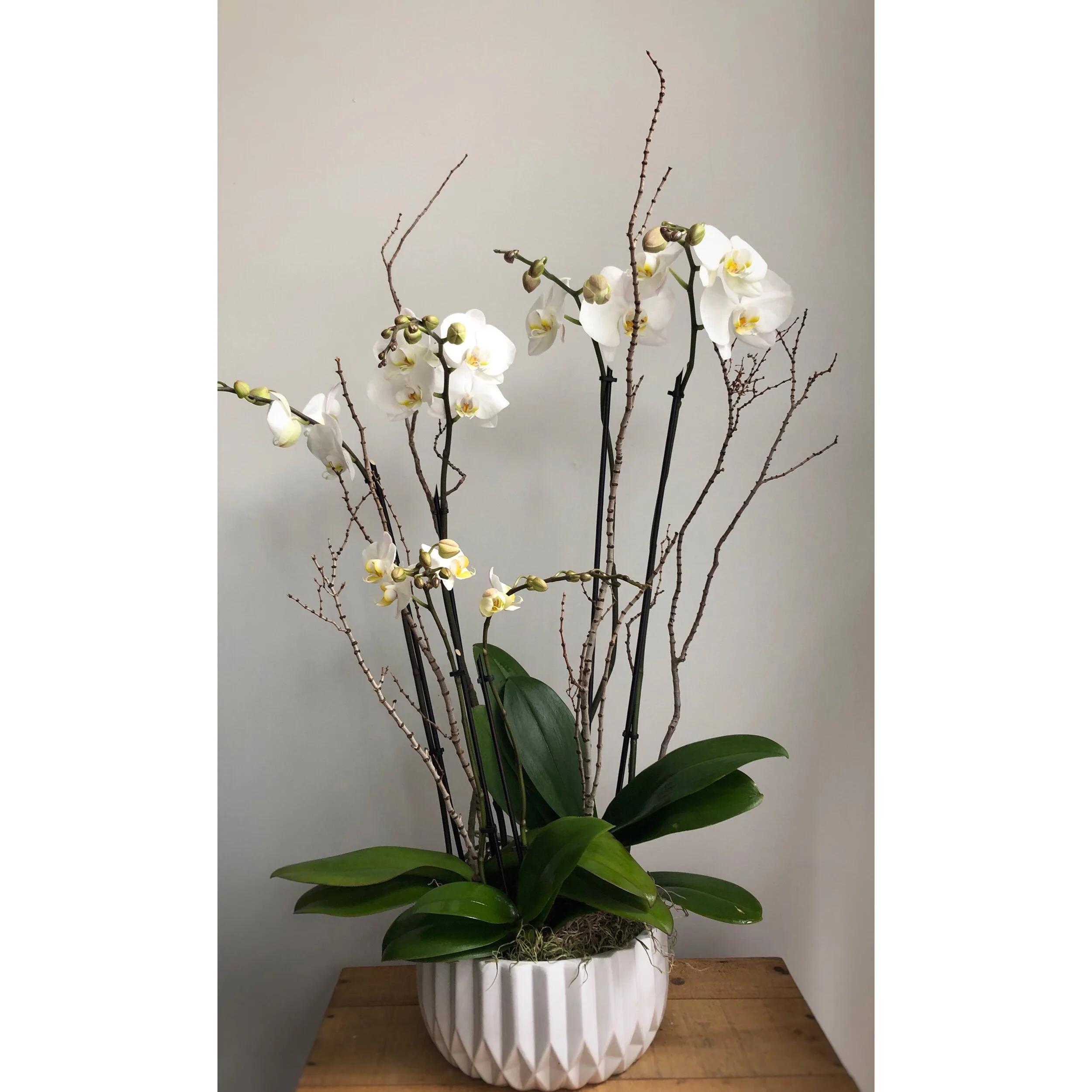 Whitagram-Image (1).JPG