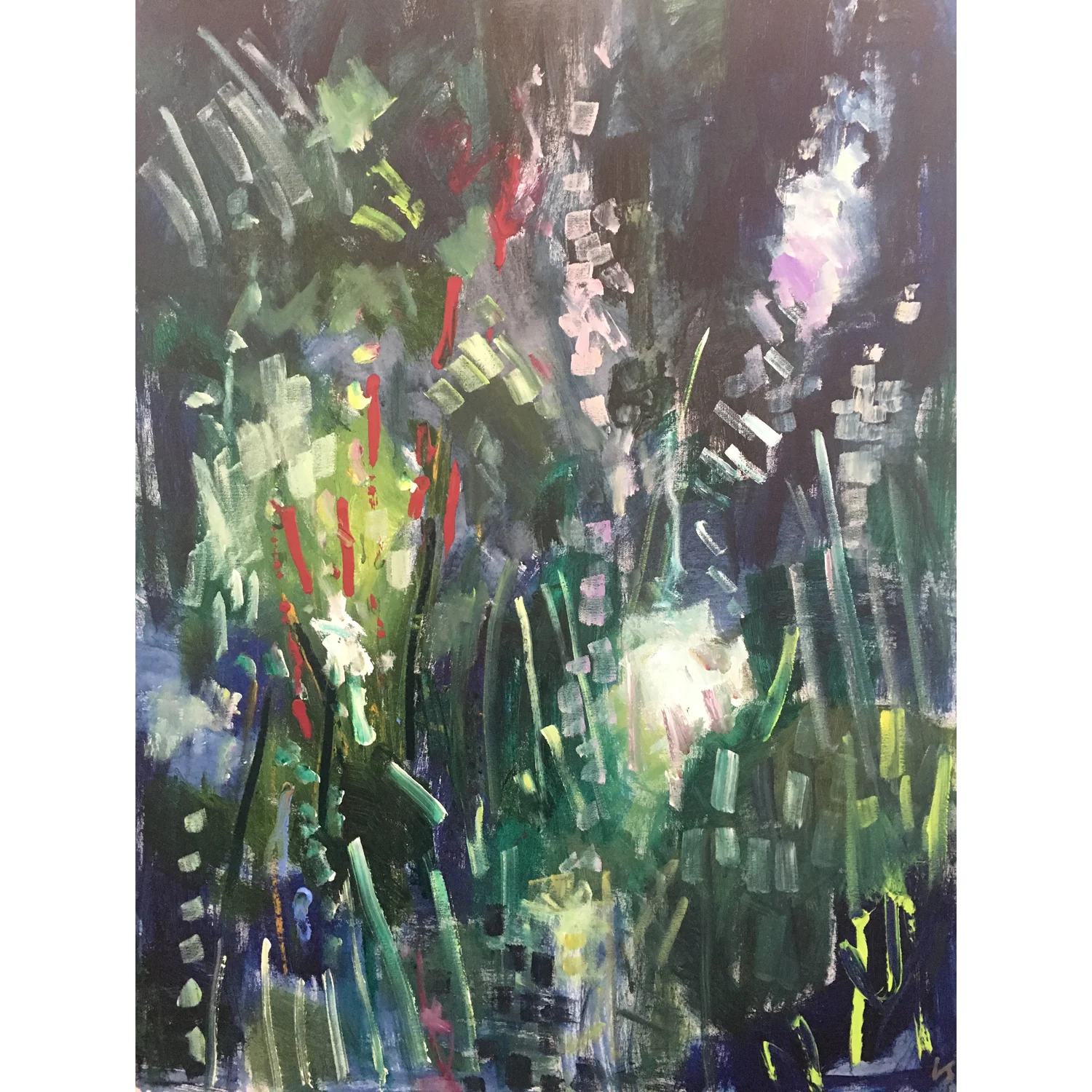 LIZ Dark Botanical CROP SQ.jpg