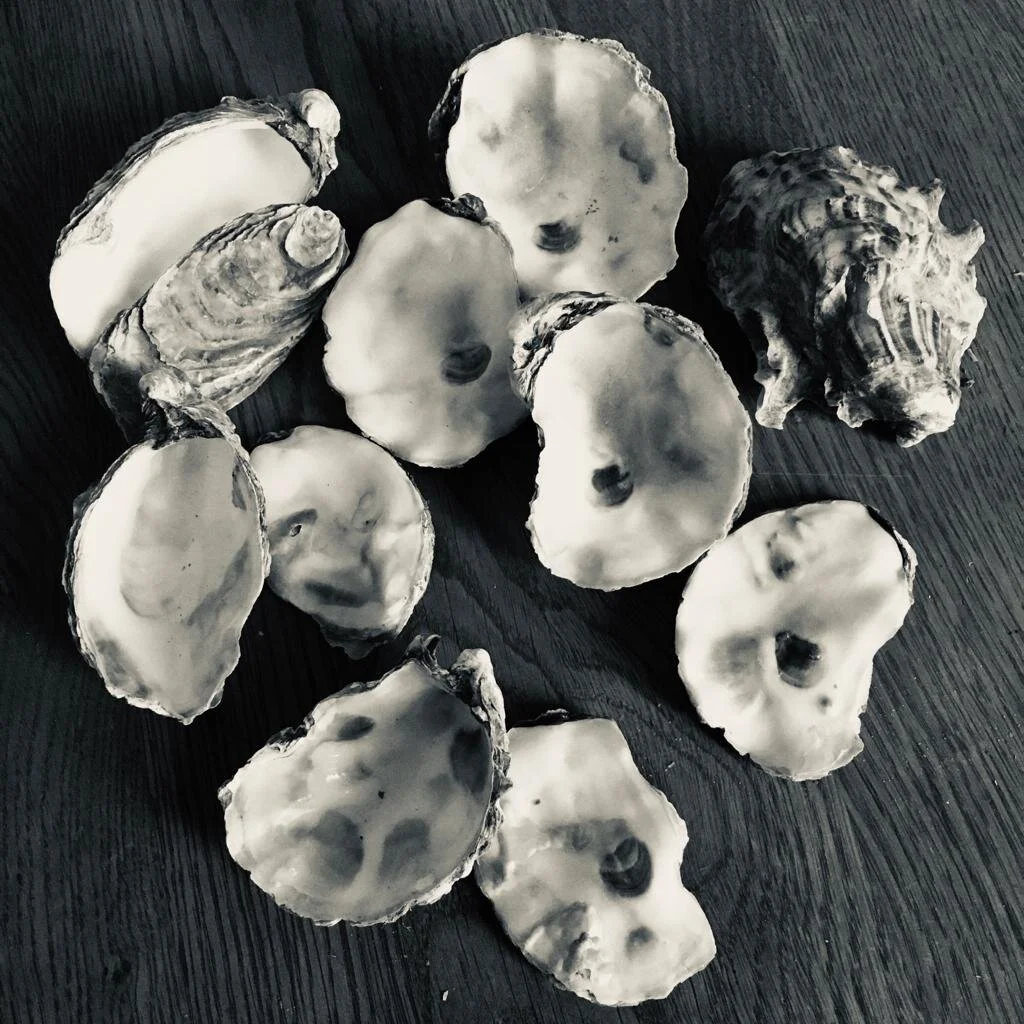 In conversation with .....