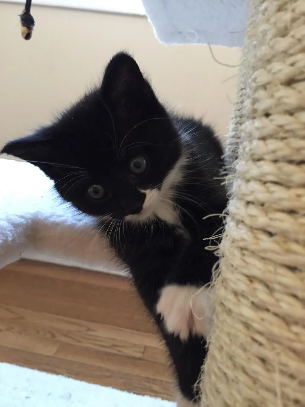 Luna
