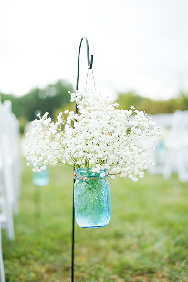 baby's breath.JPG