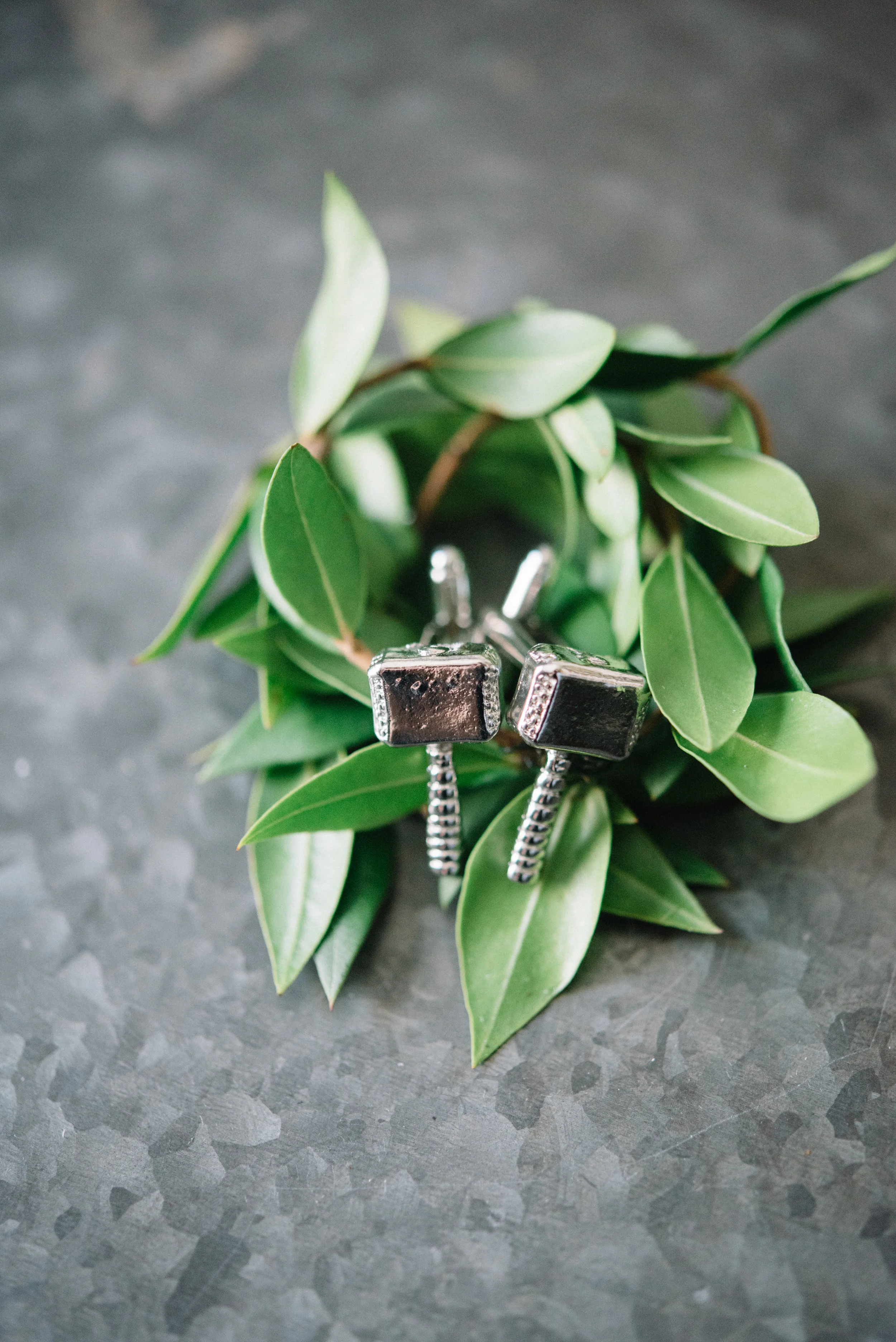 farmretreatatwillowcreekphotographersarahhouston