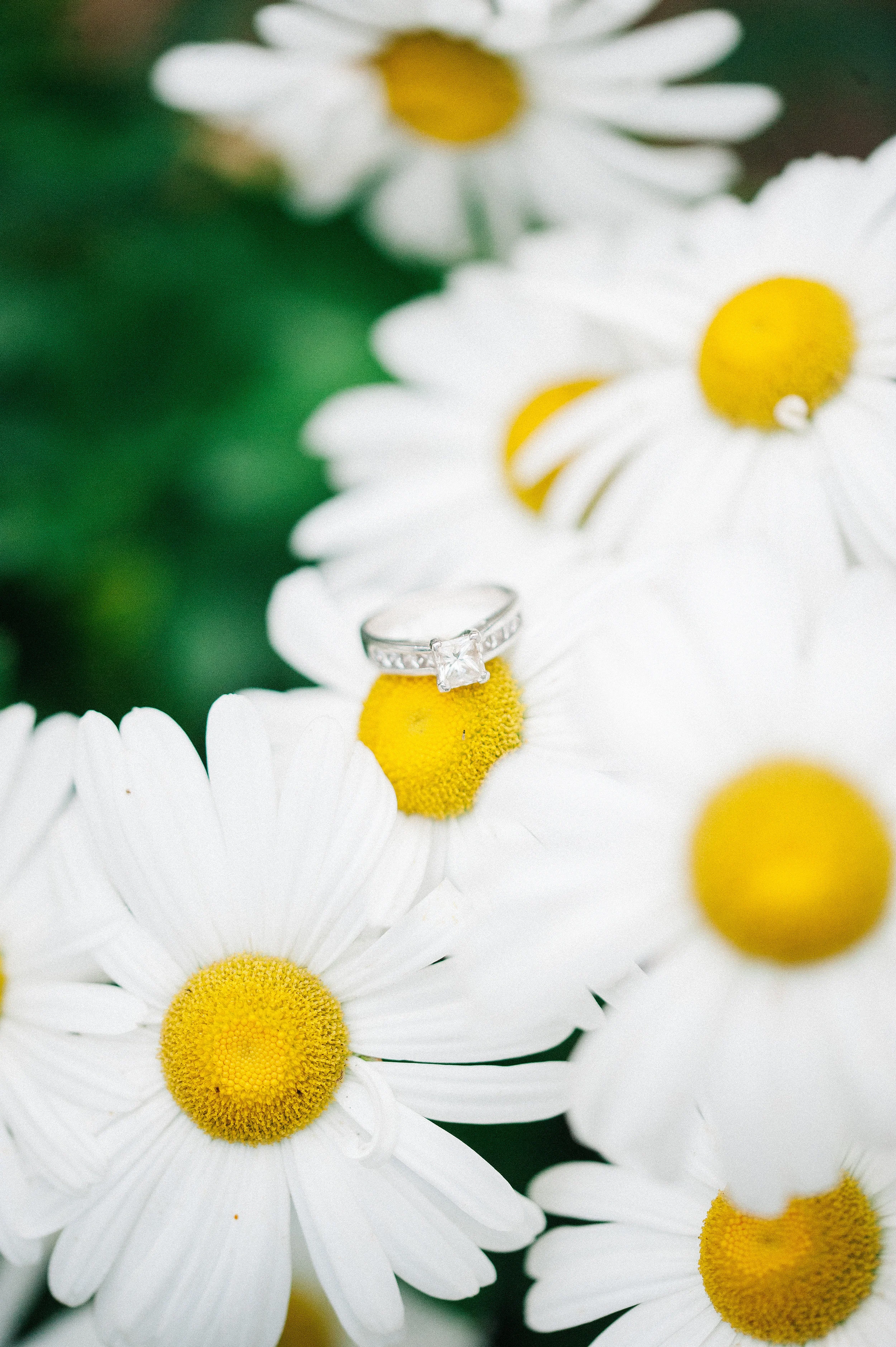 airlieweddingphotographersarahhouston