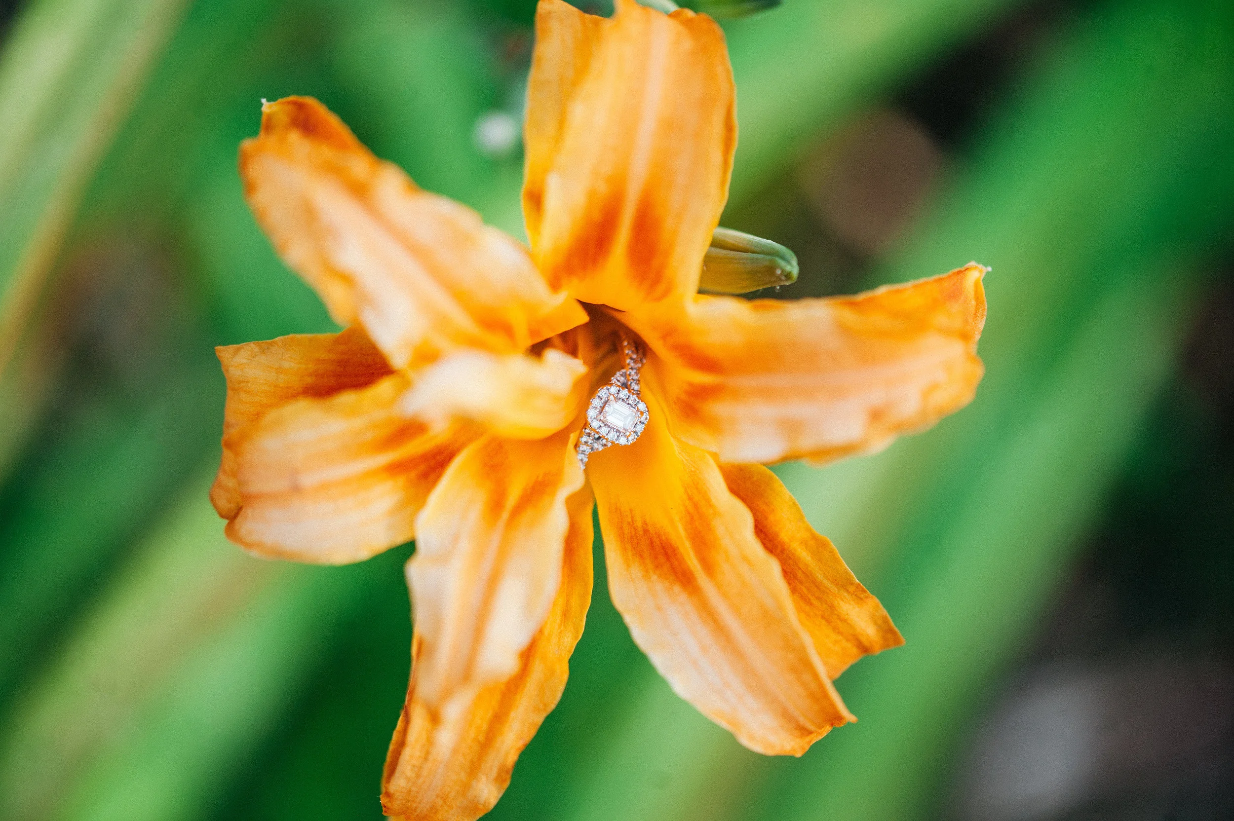 RichmondWeddingPhotographerSarahHouston-10.jpg