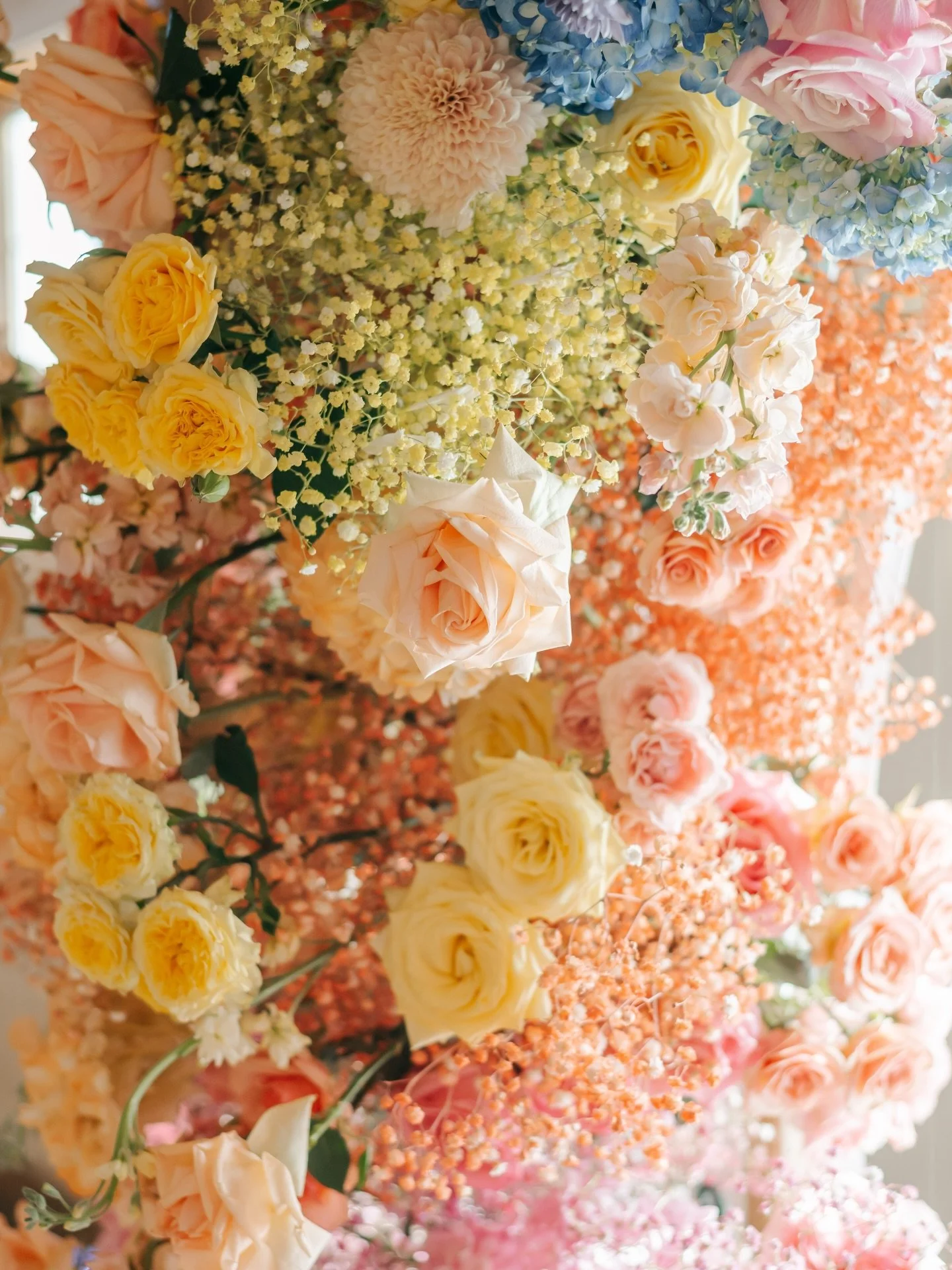 I hope all this rain today brings beautiful blooms quickly :) I&rsquo;m ready for green grass &amp; flowers!!