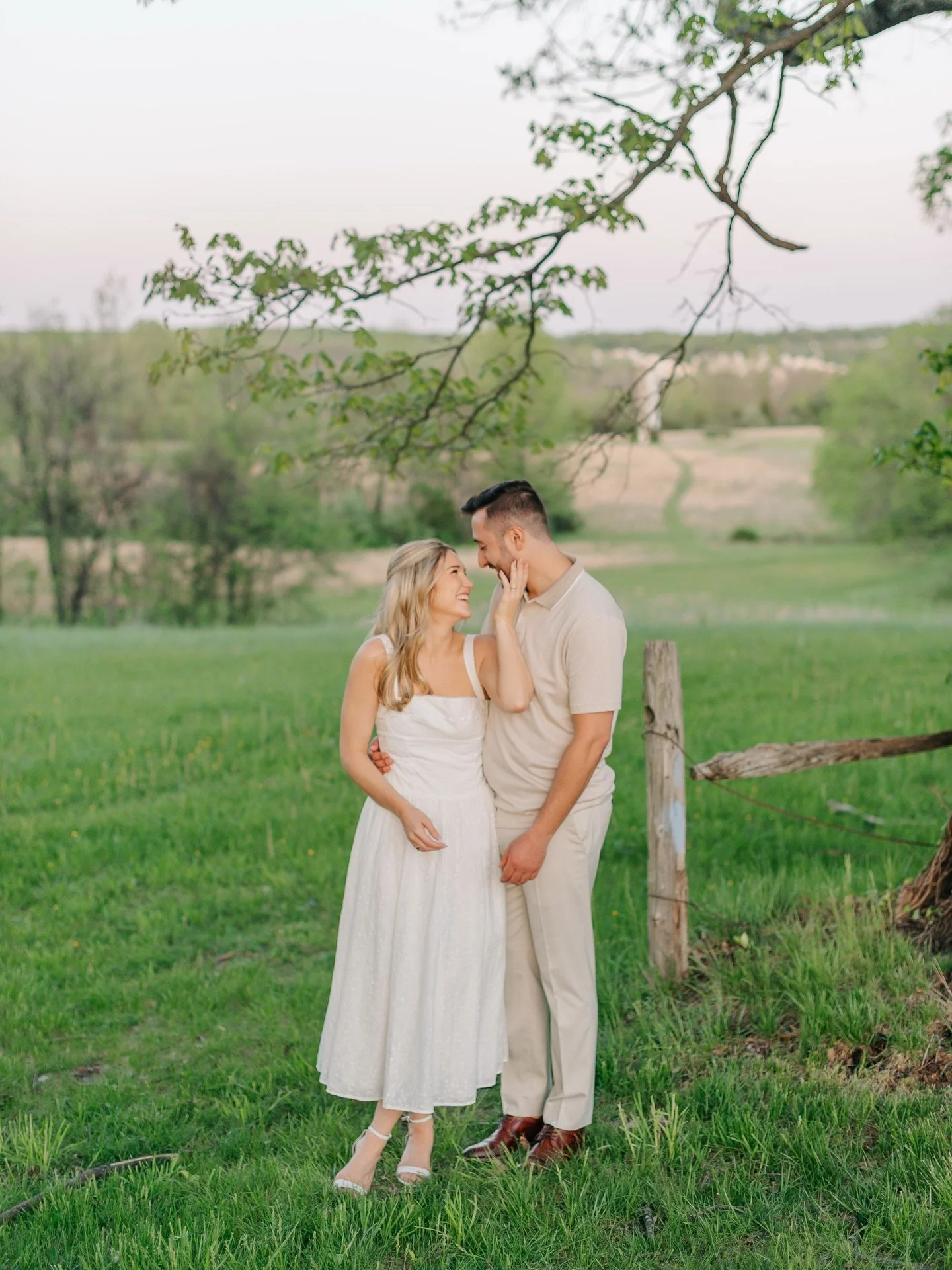 Soon it&rsquo;ll be Golden evenings in the green grass and beautiful flowers, just gotta hang on a little bit longer while VA gets itself together and is done throwing its tantrums&hellip;