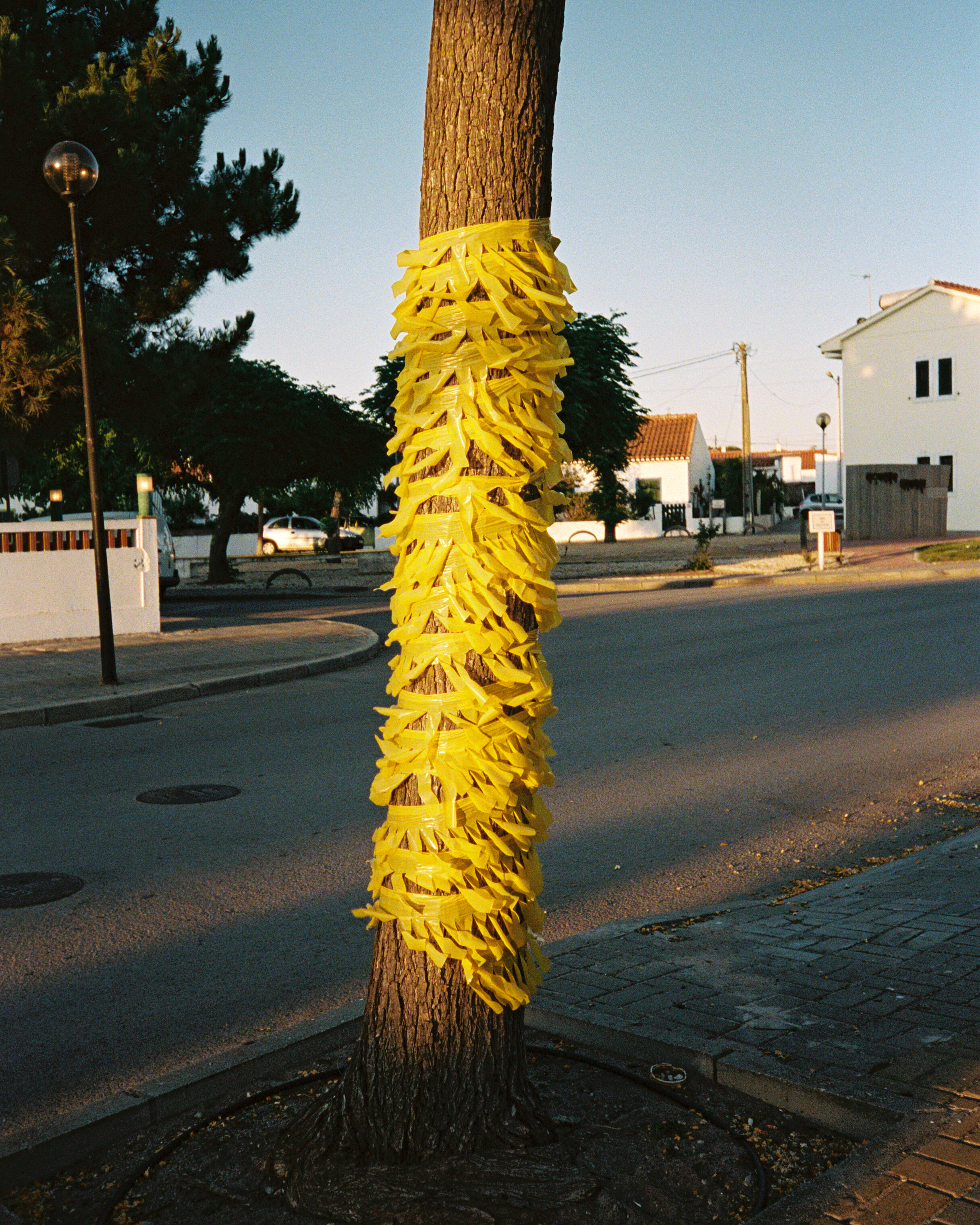 PORTUGAL 2019 063.jpg