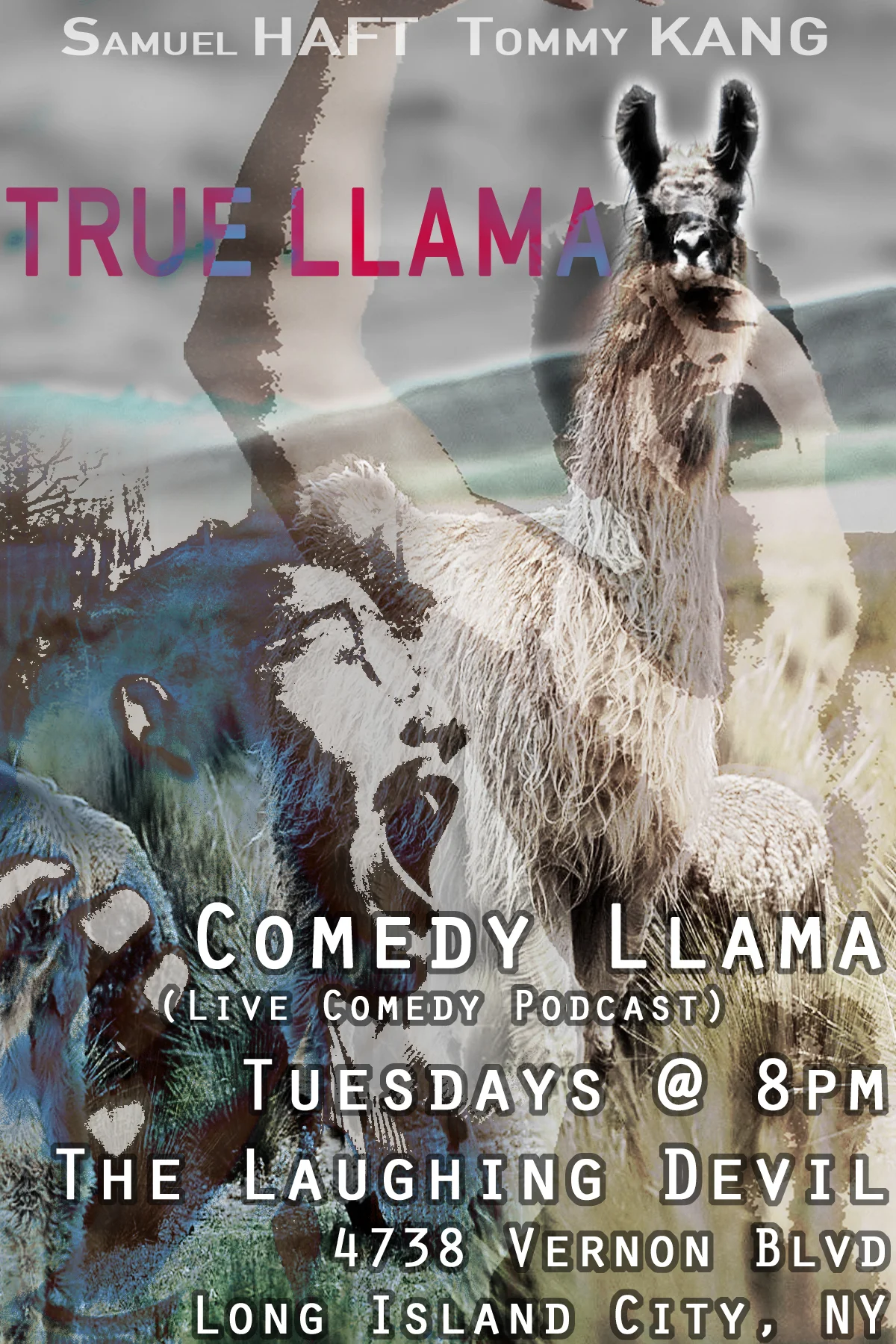 True Llama.jpg