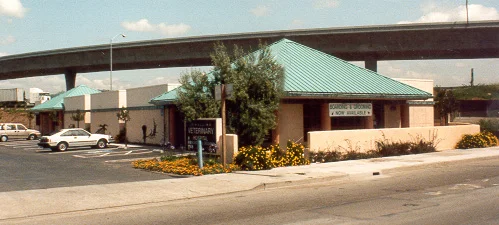 Building.jpg