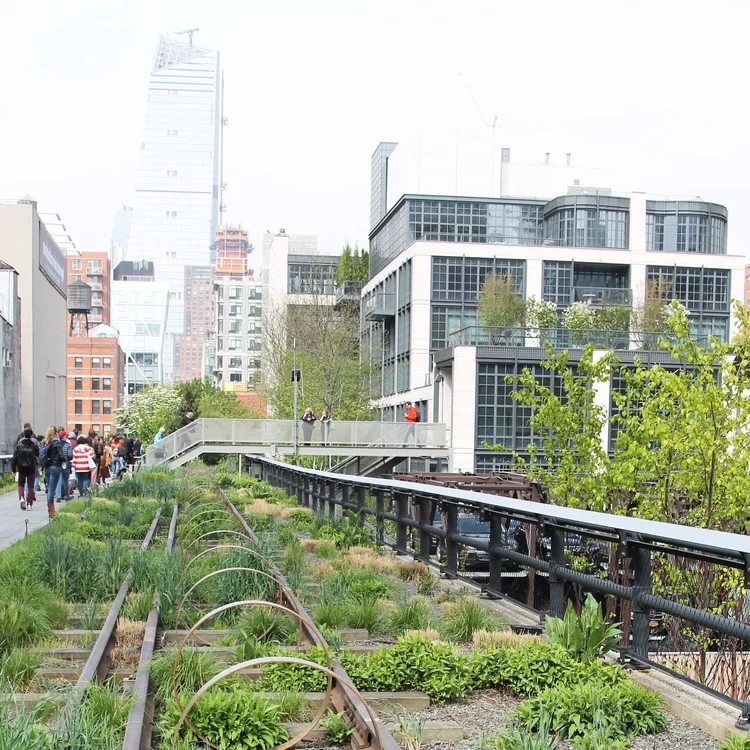 The High Line