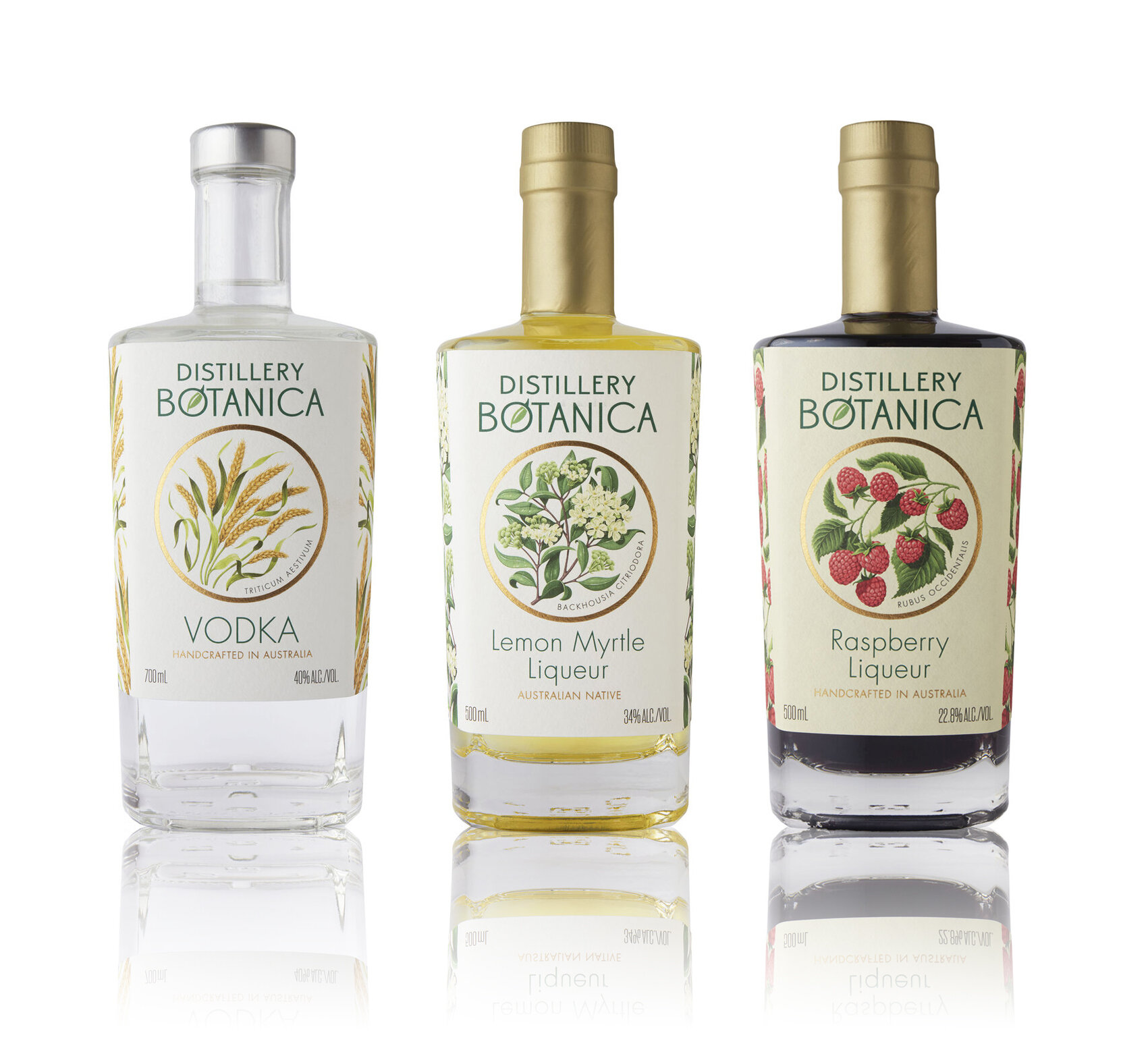 Distillery Botanica Liqueurs — Julia Murray Illustrator + Designer