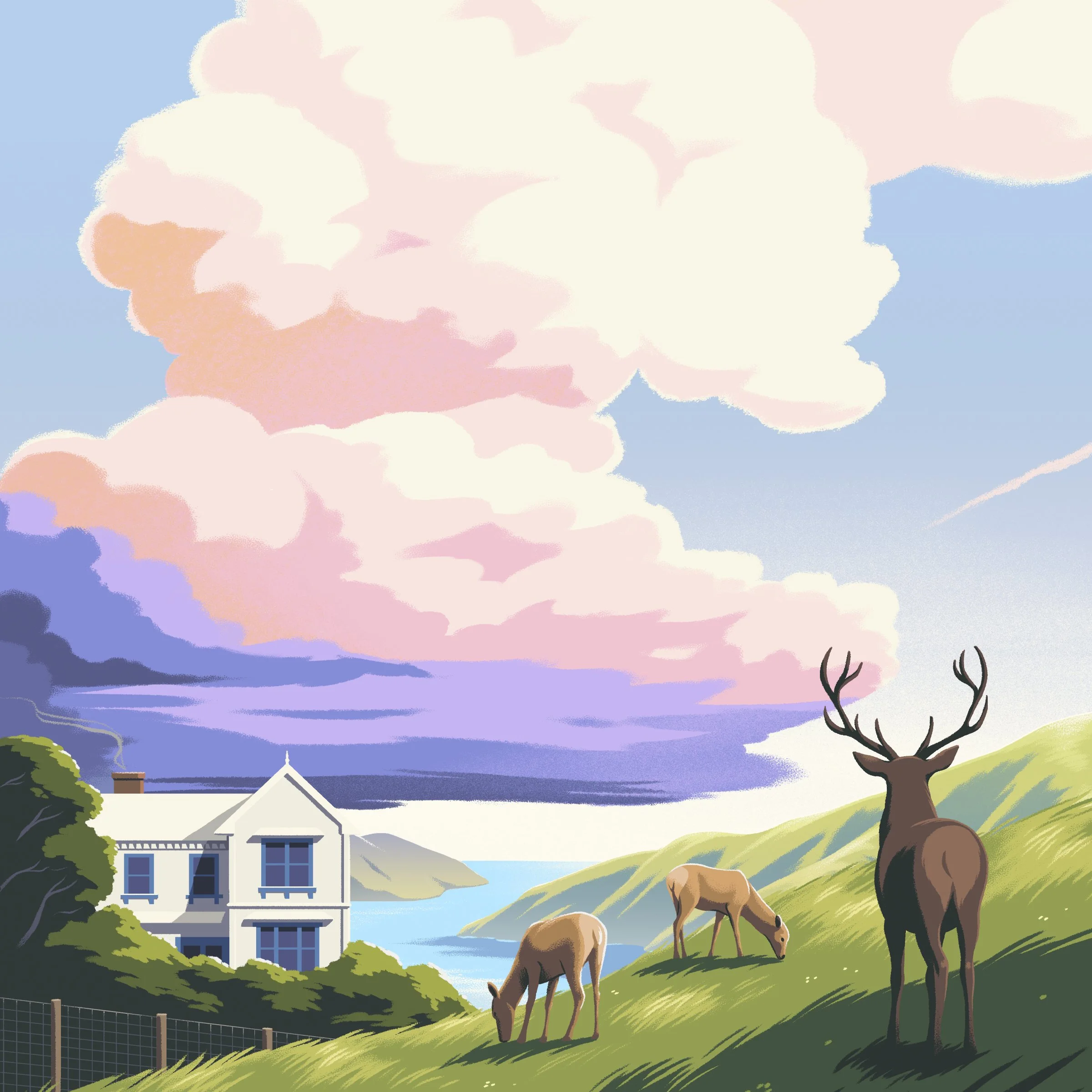 The Farm