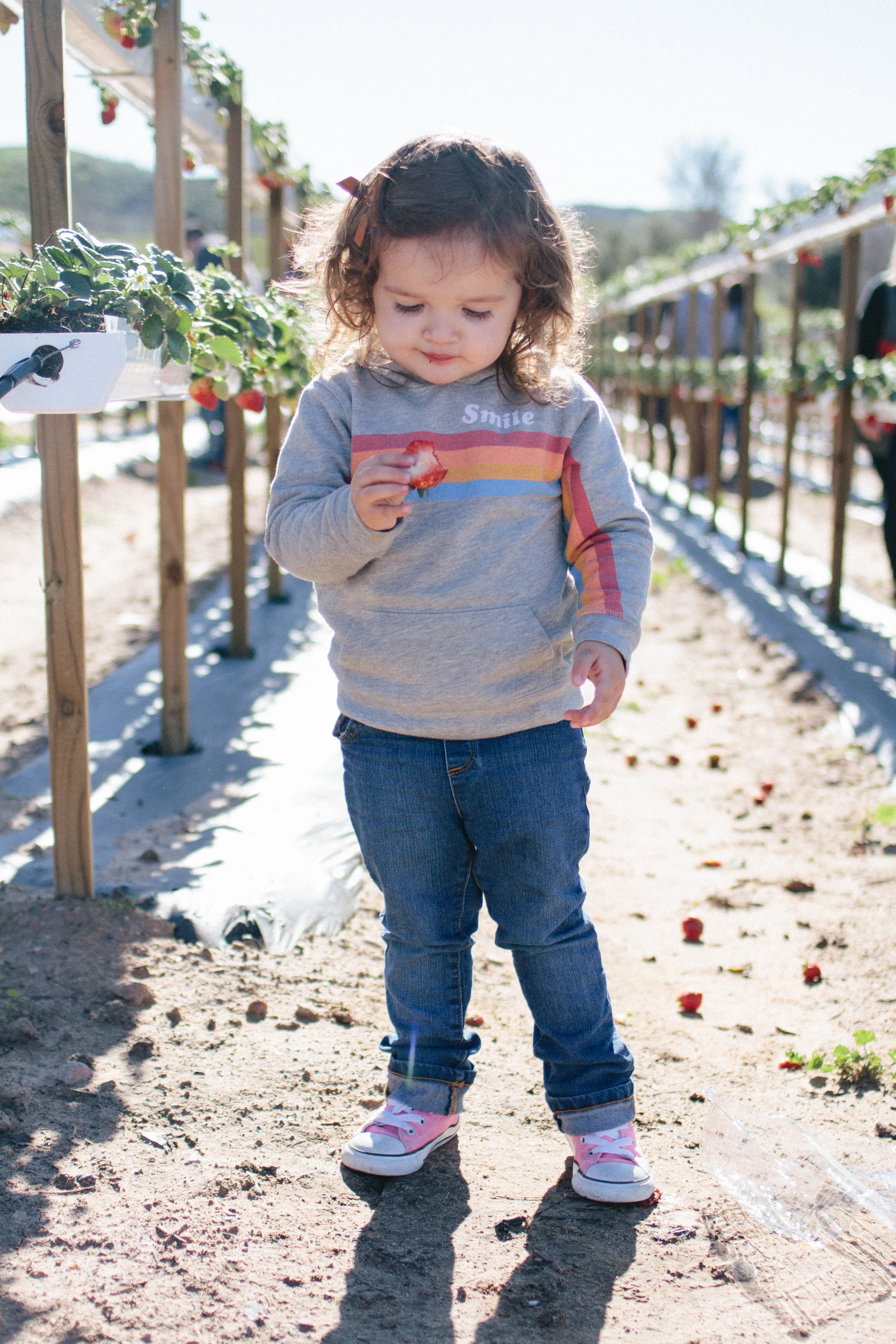 strawberry farm-49.jpg