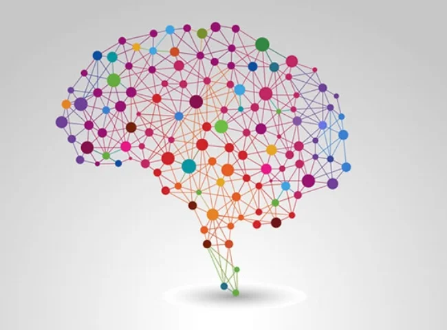 brain3.jpg
