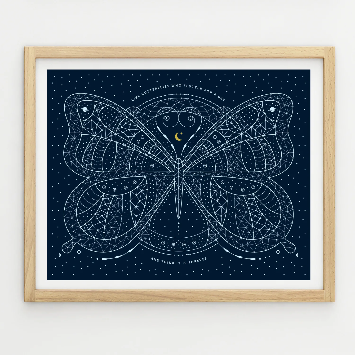 Butterfly.jpg