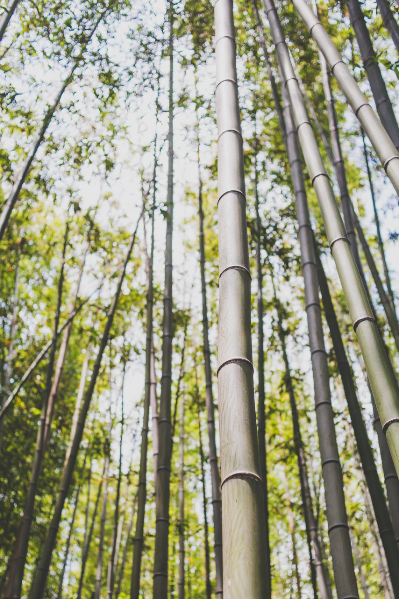 Kyoto - somethingaboutyourlove.com