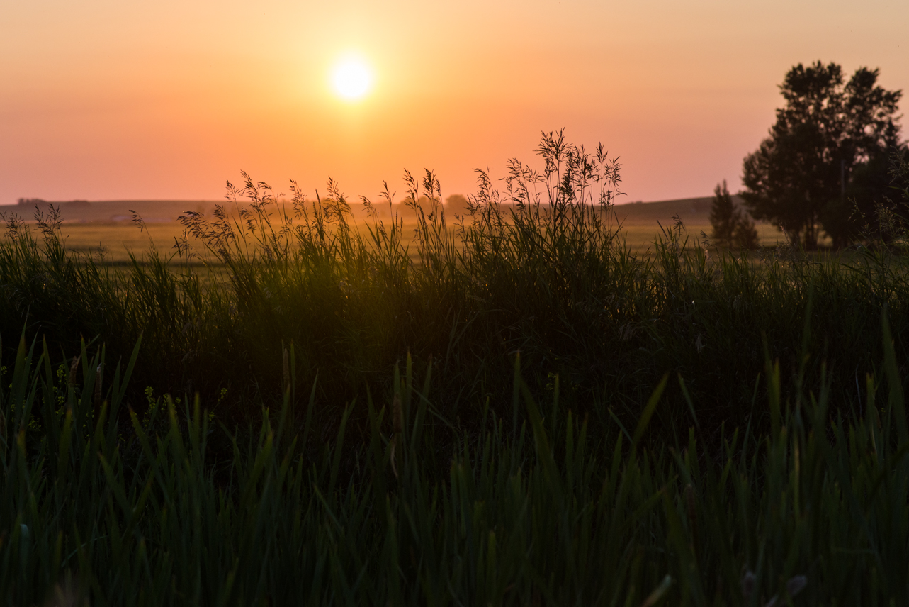 Southern Alberta - somethingaboutyourlove.com