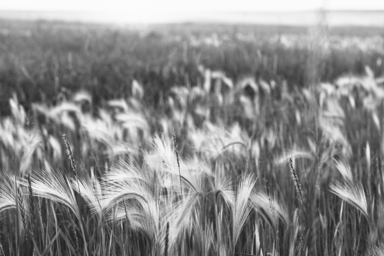 Southern Alberta - somethingaboutyourlove.com
