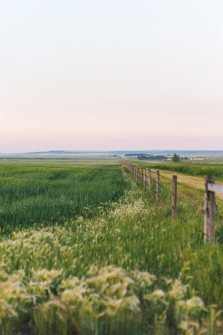 Southern Alberta - somethingaboutyourlove.com