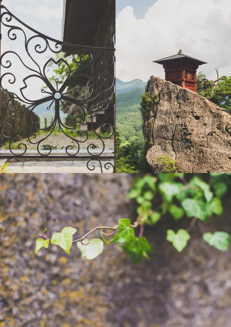 Collage 11.jpg