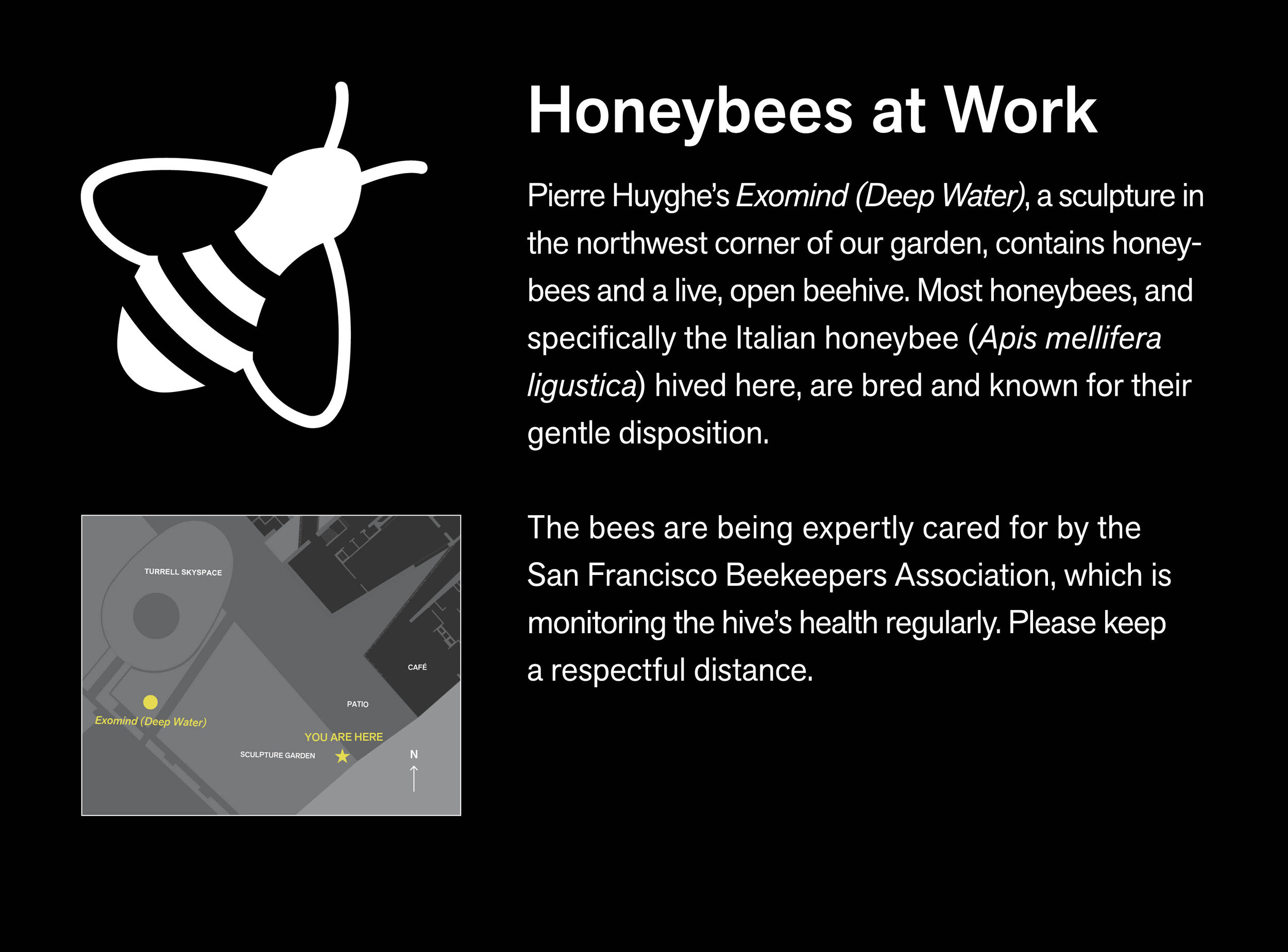 Huyghe_bee_notice_23x17_outlined.jpg