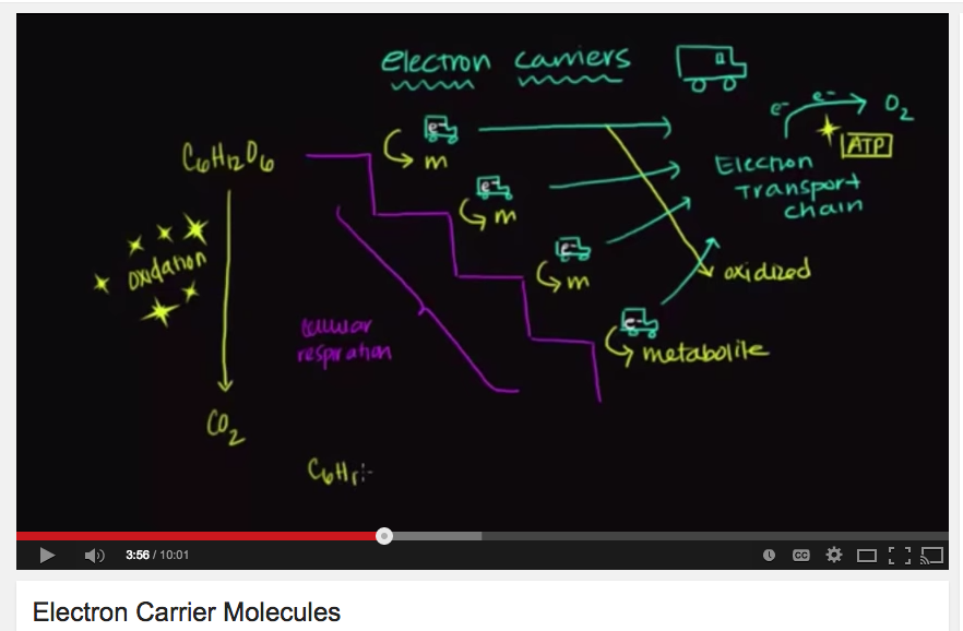 Use online content, like the Khan Academy video above, to help students catch up or get ahead.