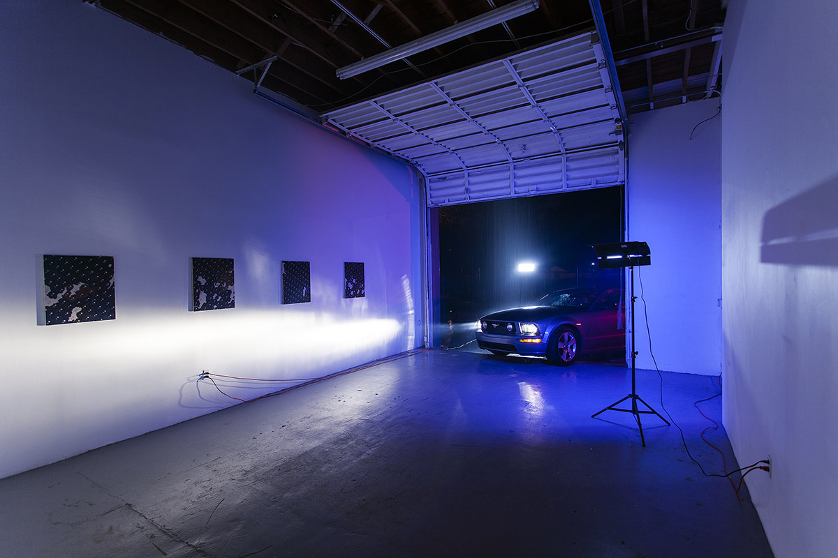 ALAN GUITERREZ LOCUST PROJECTS