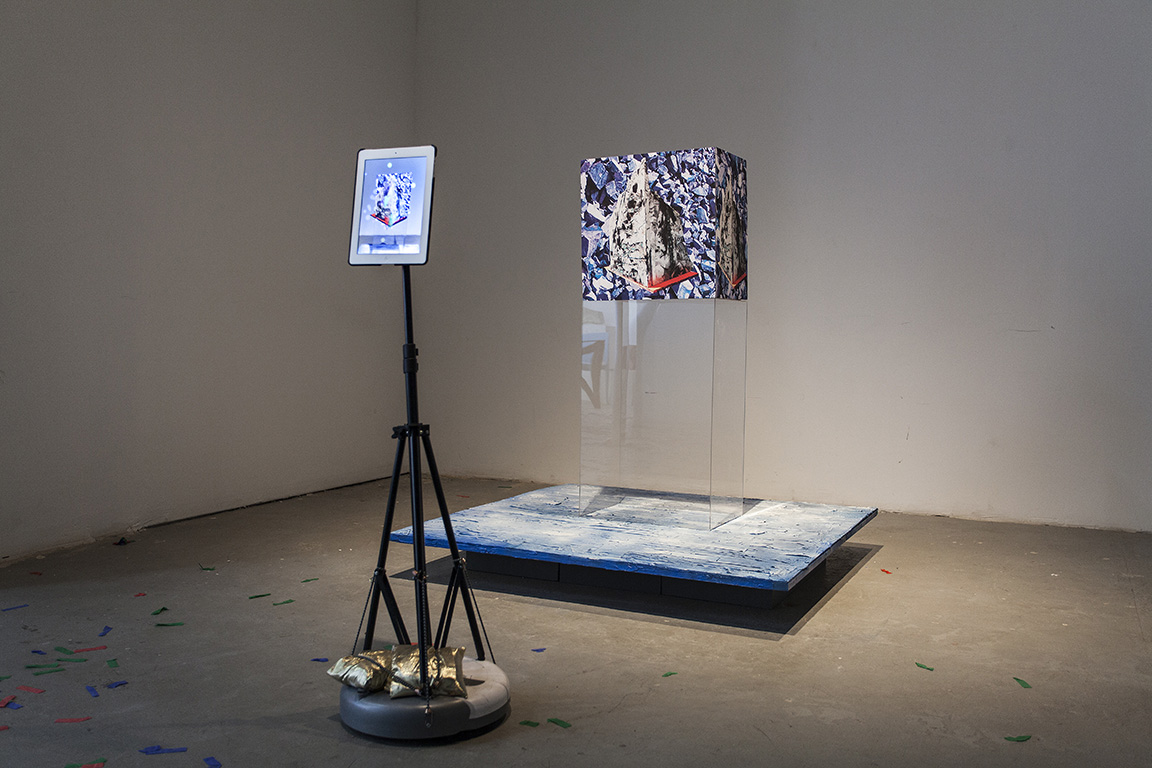 JILLIAN MAYER, LOCUST PROJECTS