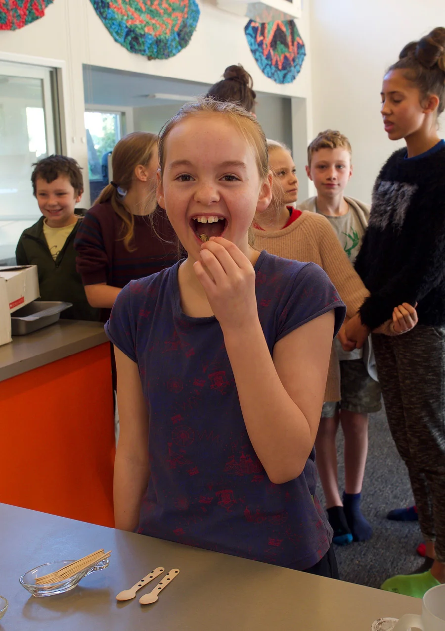 Abby bravely comps down on a native NZ locust