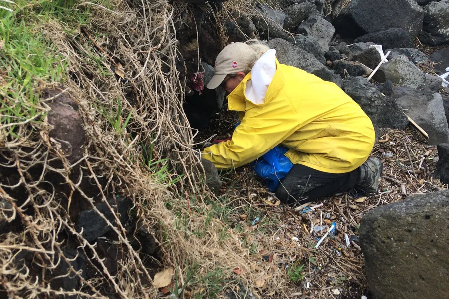 Pam collecting all manner of detritus - predominantly plastic litter - washed up in the rocks.