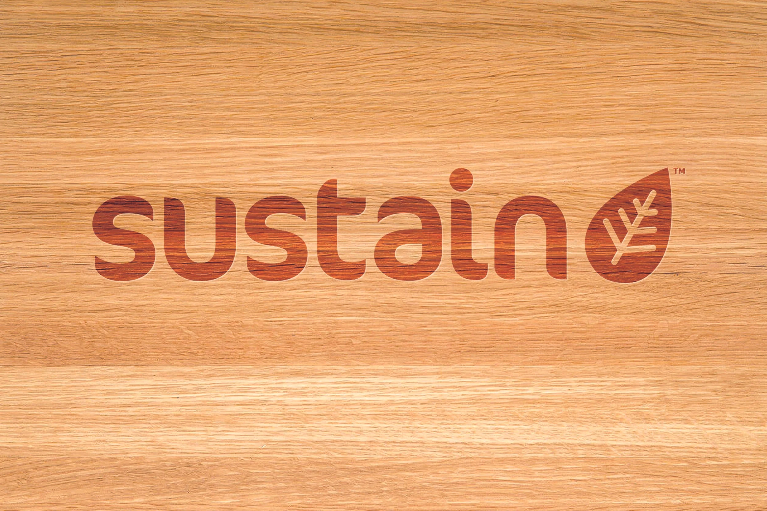 Sustain web image.jpg